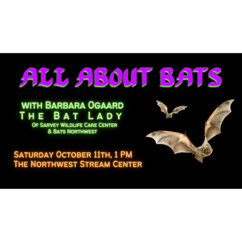 Adopt A Stream Foundation All About Bats