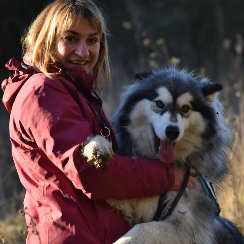 Ma collaboratrice Angélique et une pensionnaire de race malamute qui lui saute dessus