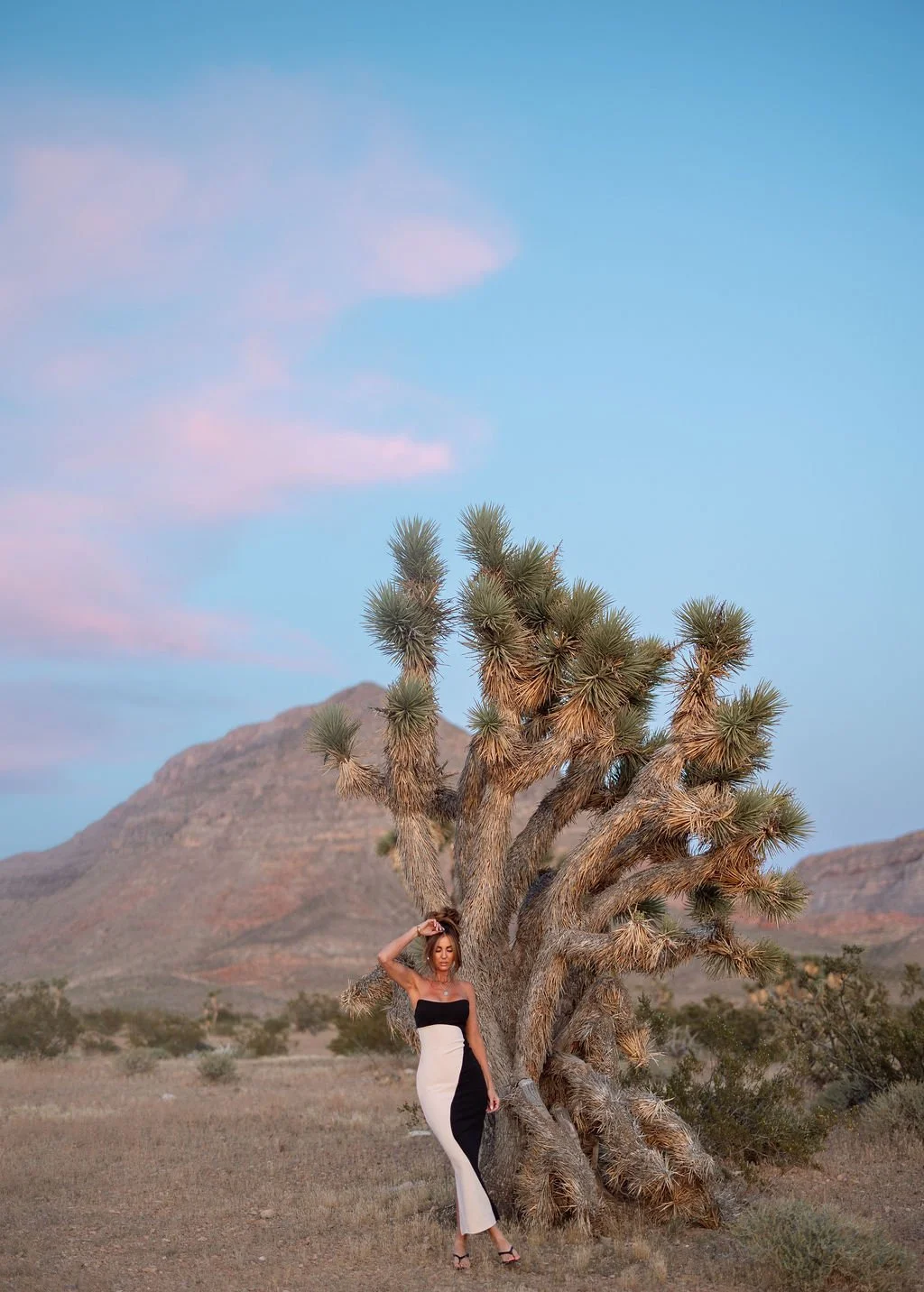 Editorial fashion photography in Southern Utah featuring a model styled against the dramatic desert landscape and Joshua trees. This creative fashion photoshoot blends bold styling, natural scenery, and visual storytelling to create striking campaign