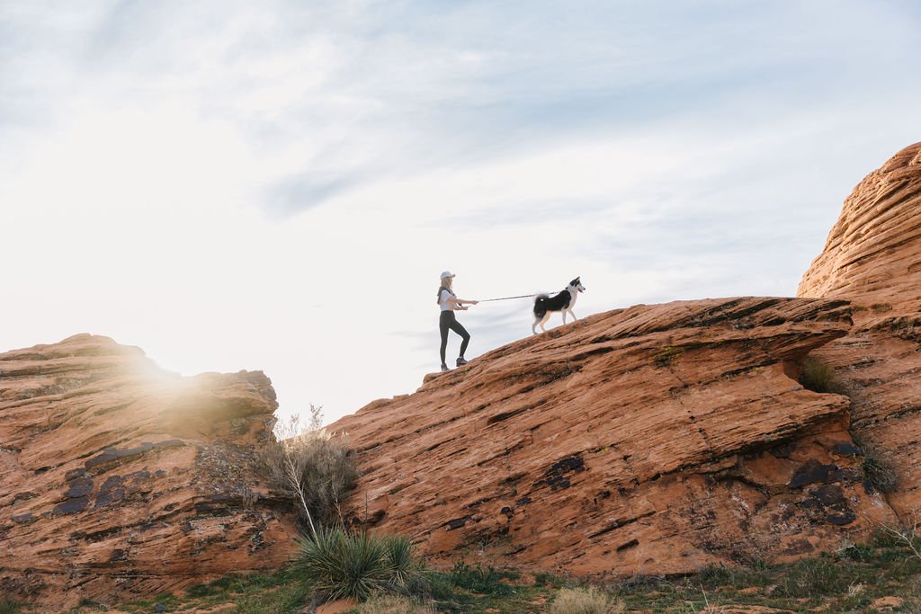 Outdoor lifestyle commercial photography featuring a dog collar brand in the red rock landscapes of Southern Utah. This adventure product photoshoot creates authentic, story-driven imagery for pet brands, outdoor companies, advertising campaigns, web
