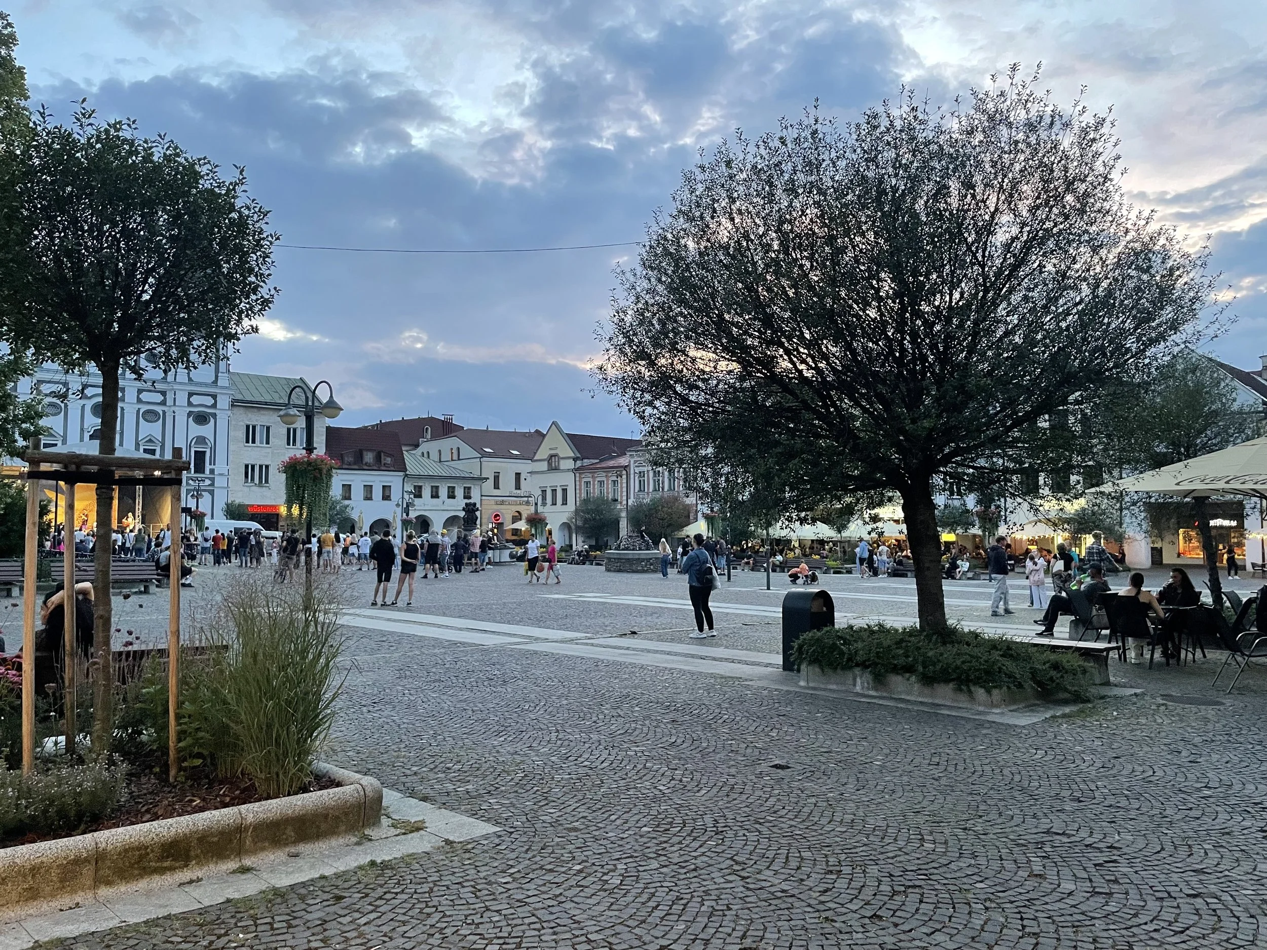 IMG_2667.jpeg