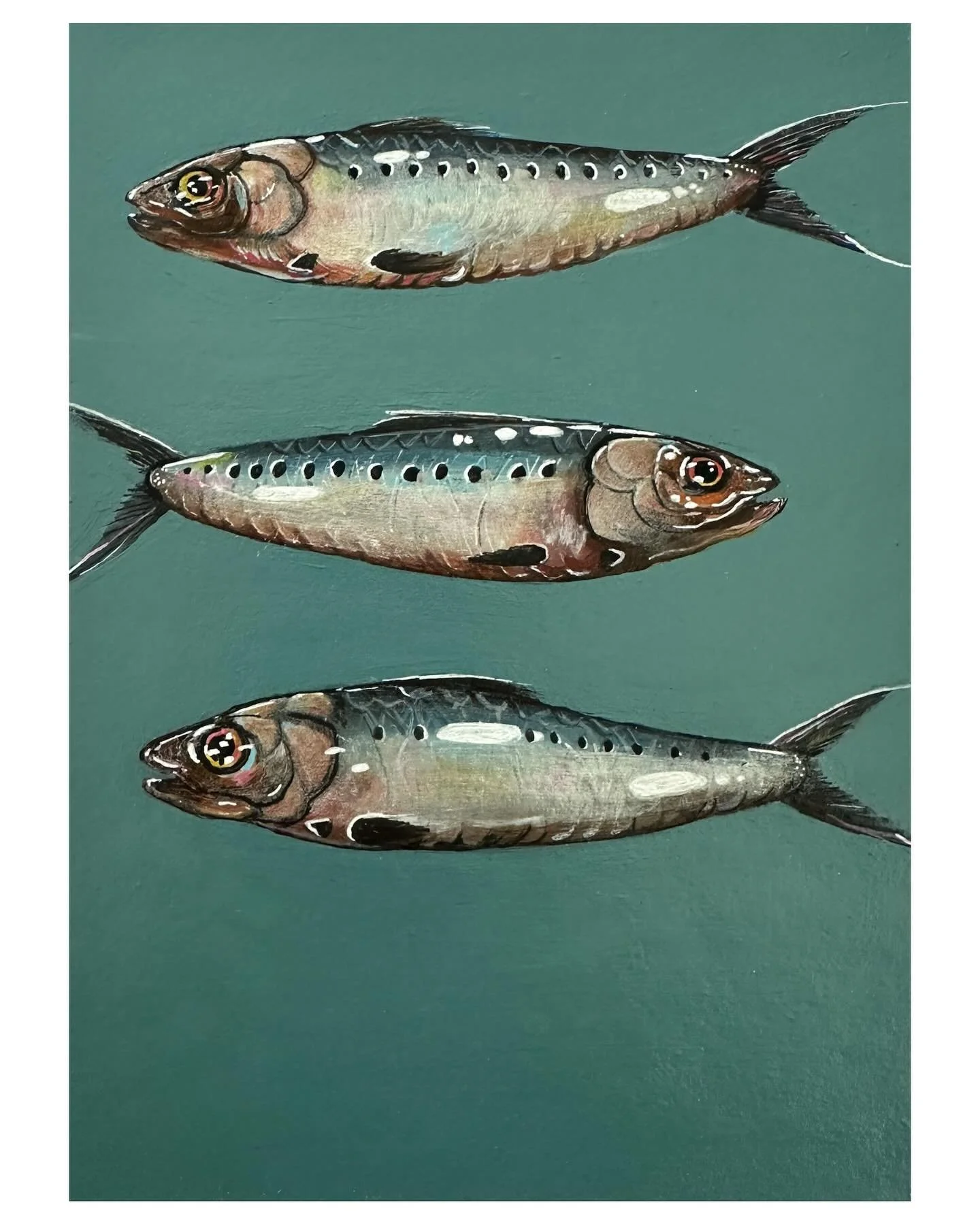 &ldquo;Sardines&rdquo;
Acrylic on cold press paper 
2025