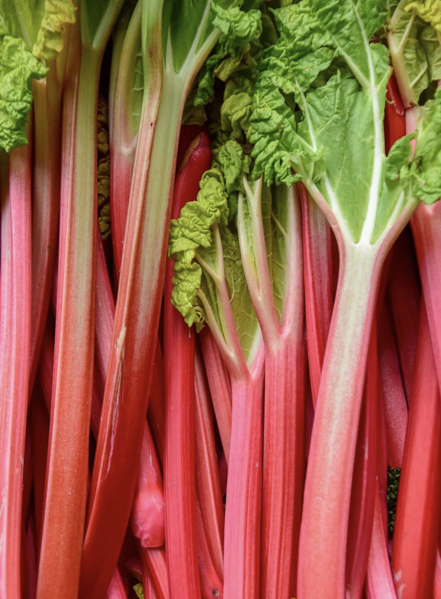 The Rhubarb Revival, June 9, 11:00am-2:00pm