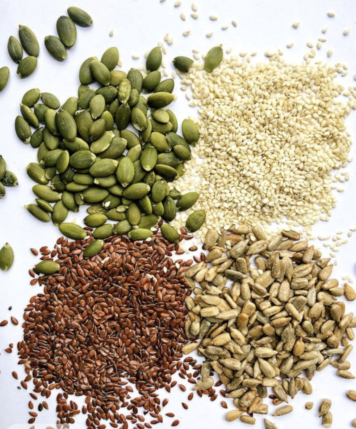 Screenshot 2026-03-31 at 12.10.33 PM.png