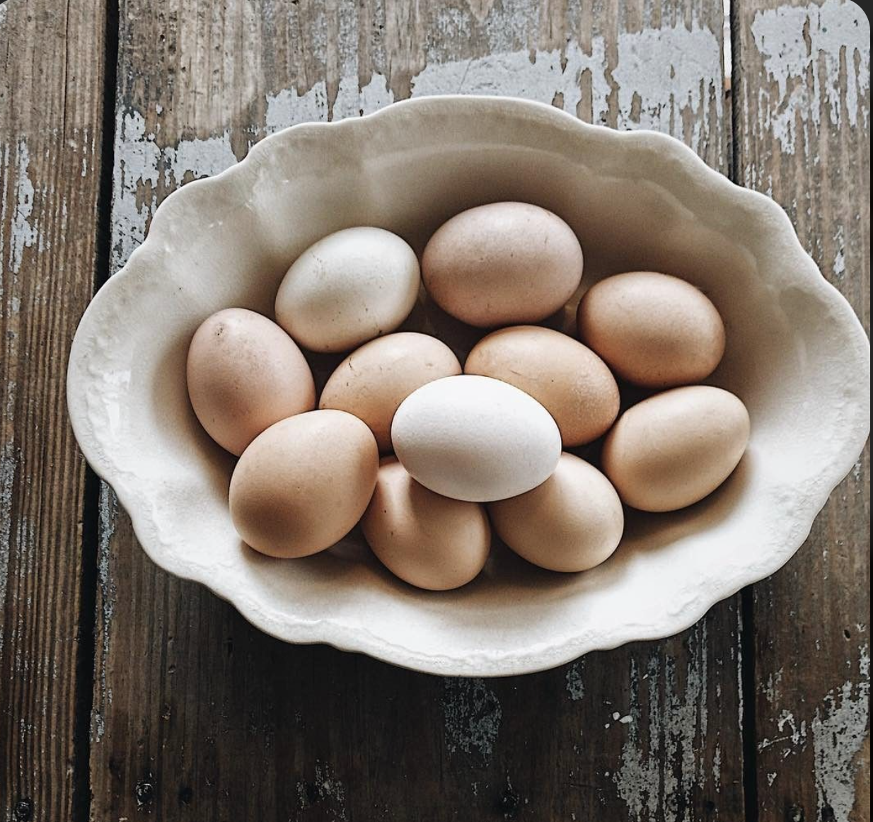 Cracking the Code:  An Egg Cookery, April 7, 11:00am-2:00pm