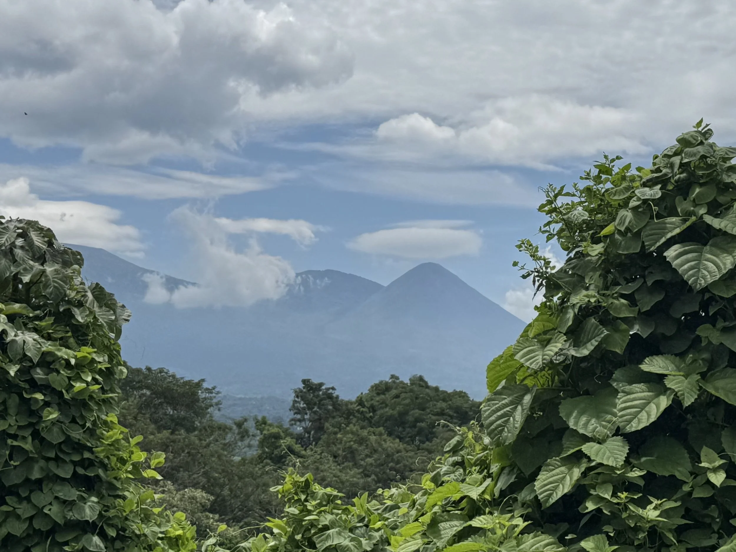 Back from El Salvadore, October 16, 6:00-8:30