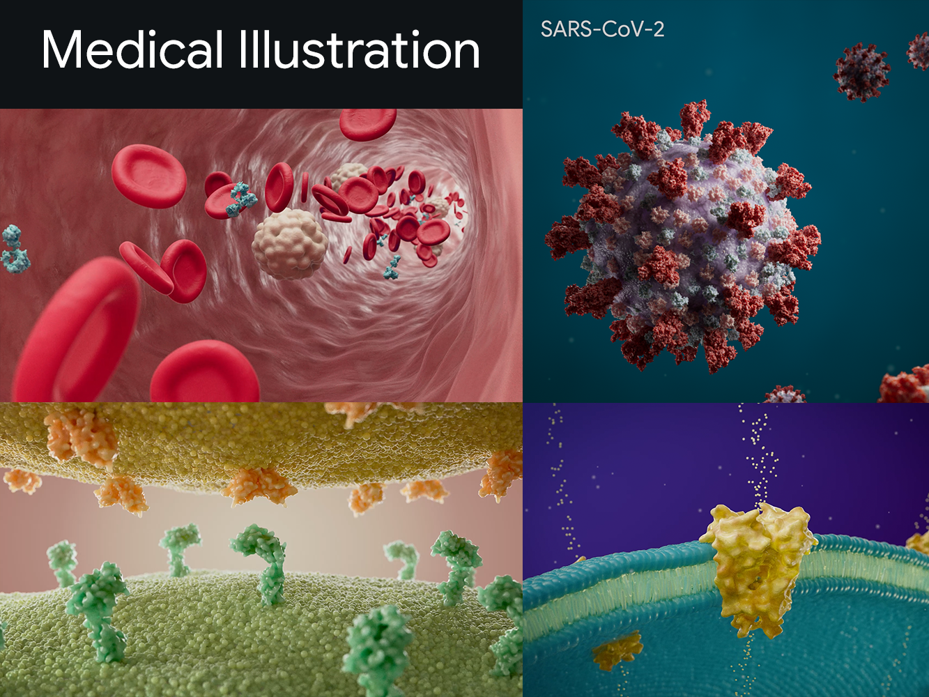 Medical_Compilation_website.png
