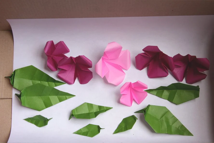 flower_parts.jpg