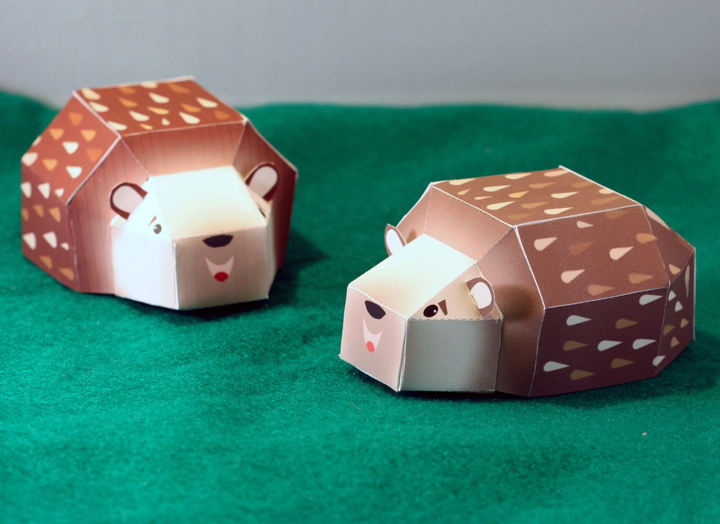 hedgehogs.jpg