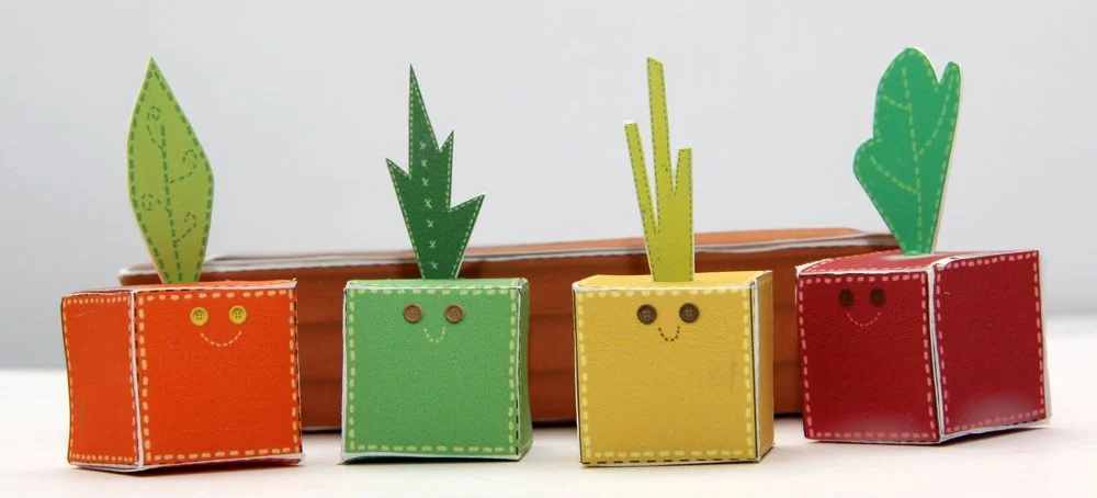 windowBox_sprouts.jpg