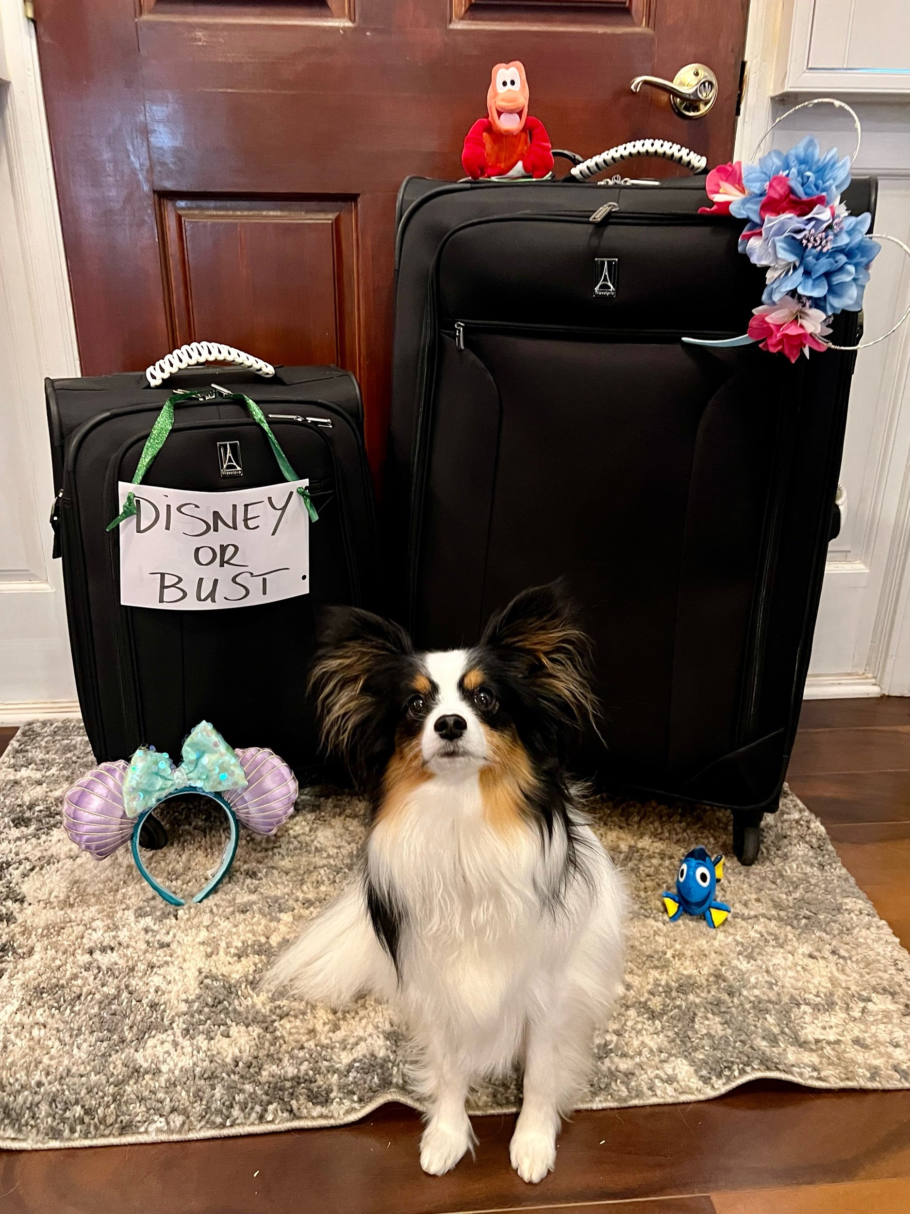 Packing for Disneyworld