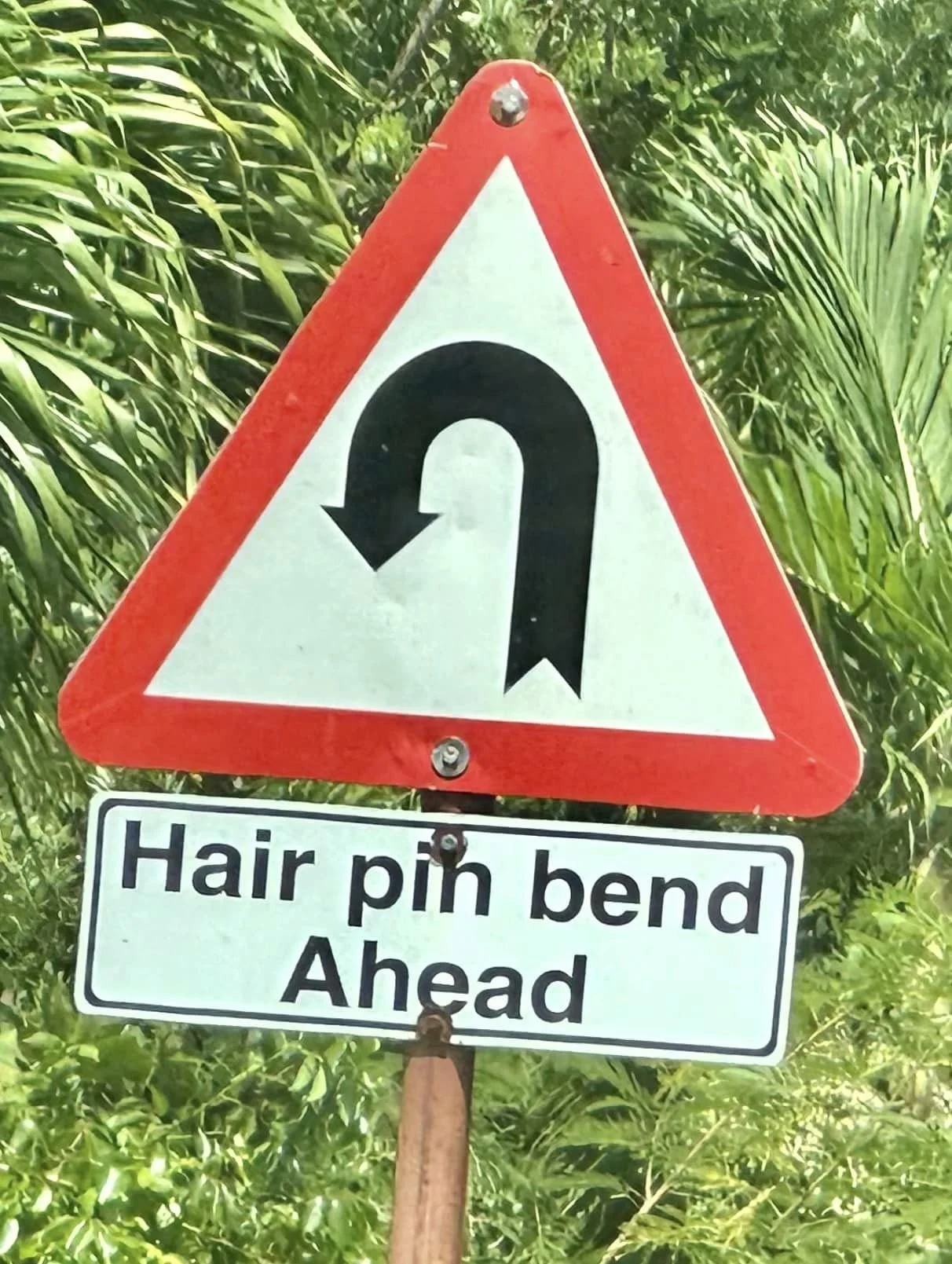 356254088_10100415930600378_209695972948024475_n.jpg