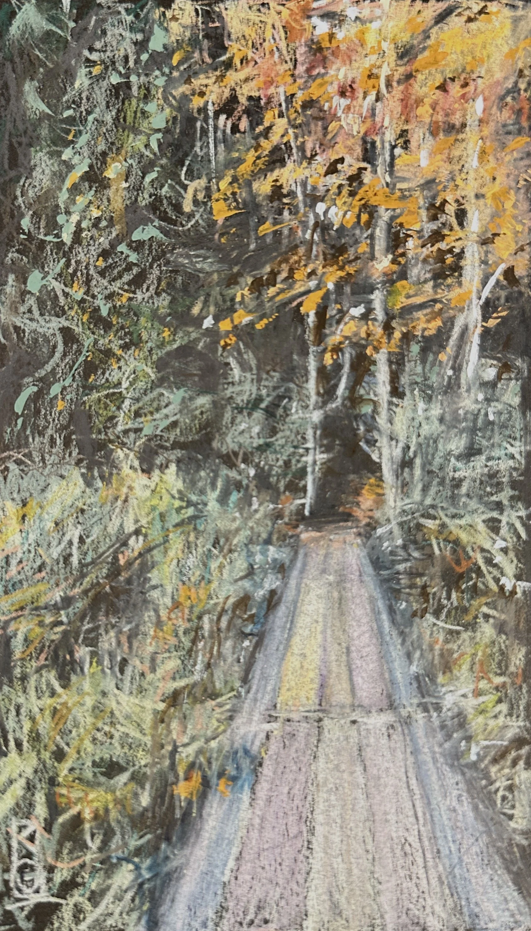 Over bog and forest (the school pond, Keene Valley) / Pencil and gouache on paper / 4x7" / 2026