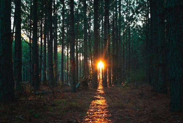 4 Tips to Stop Anxious Thoughts from Taking Over