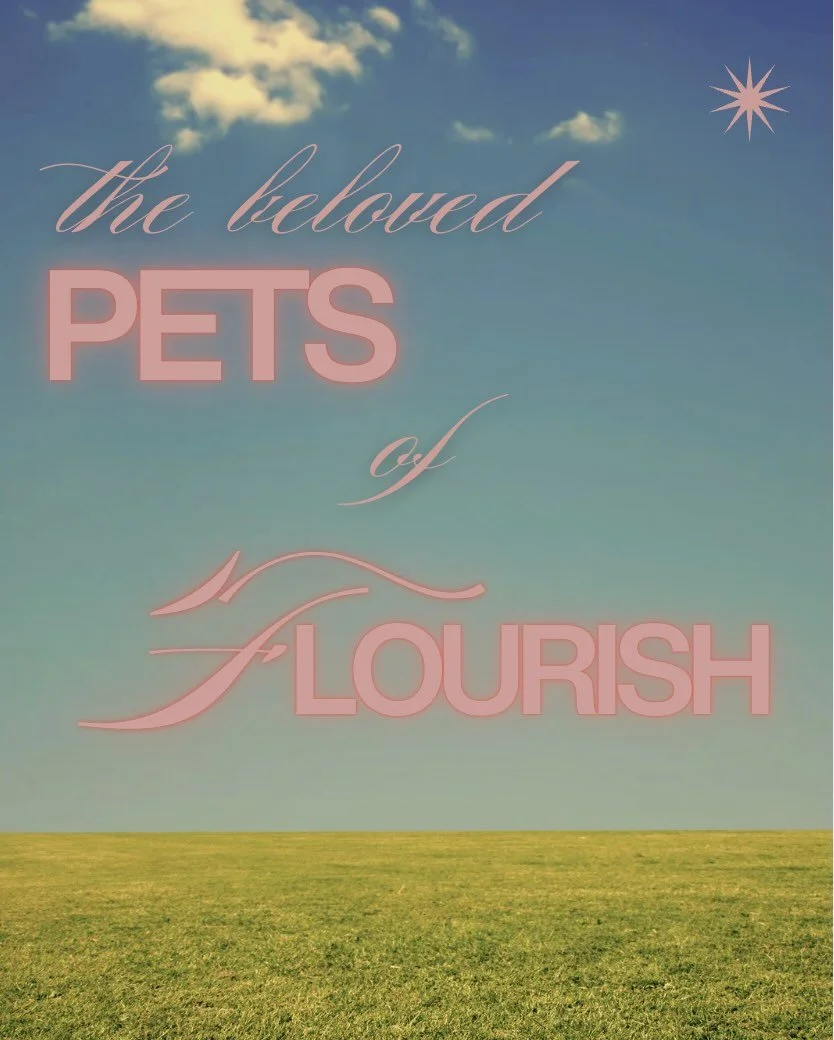 Meet the team&rsquo;s furry friends! Pets can be such a grounding force and source of joy. Maybe you have seen some of these faces in your virtual sessions! 🐕🐾🐦🐱