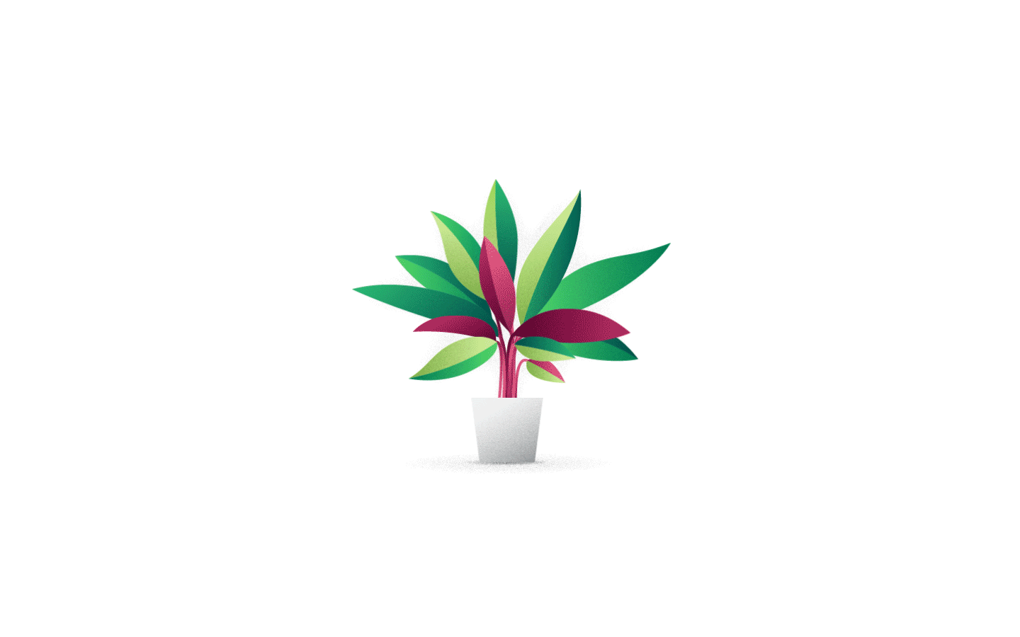 tricolor_plant.gif