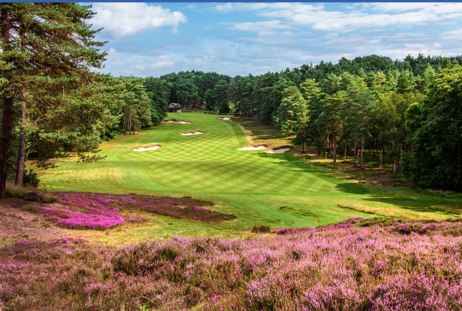 Screenshot 2023-12-01 at 3.02.20 PM.png