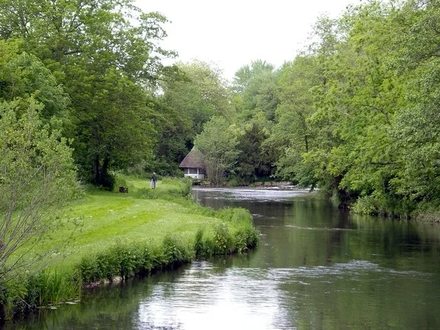 River_Test_at_Bossington_-_geograph.org.uk_-_181882.jpg