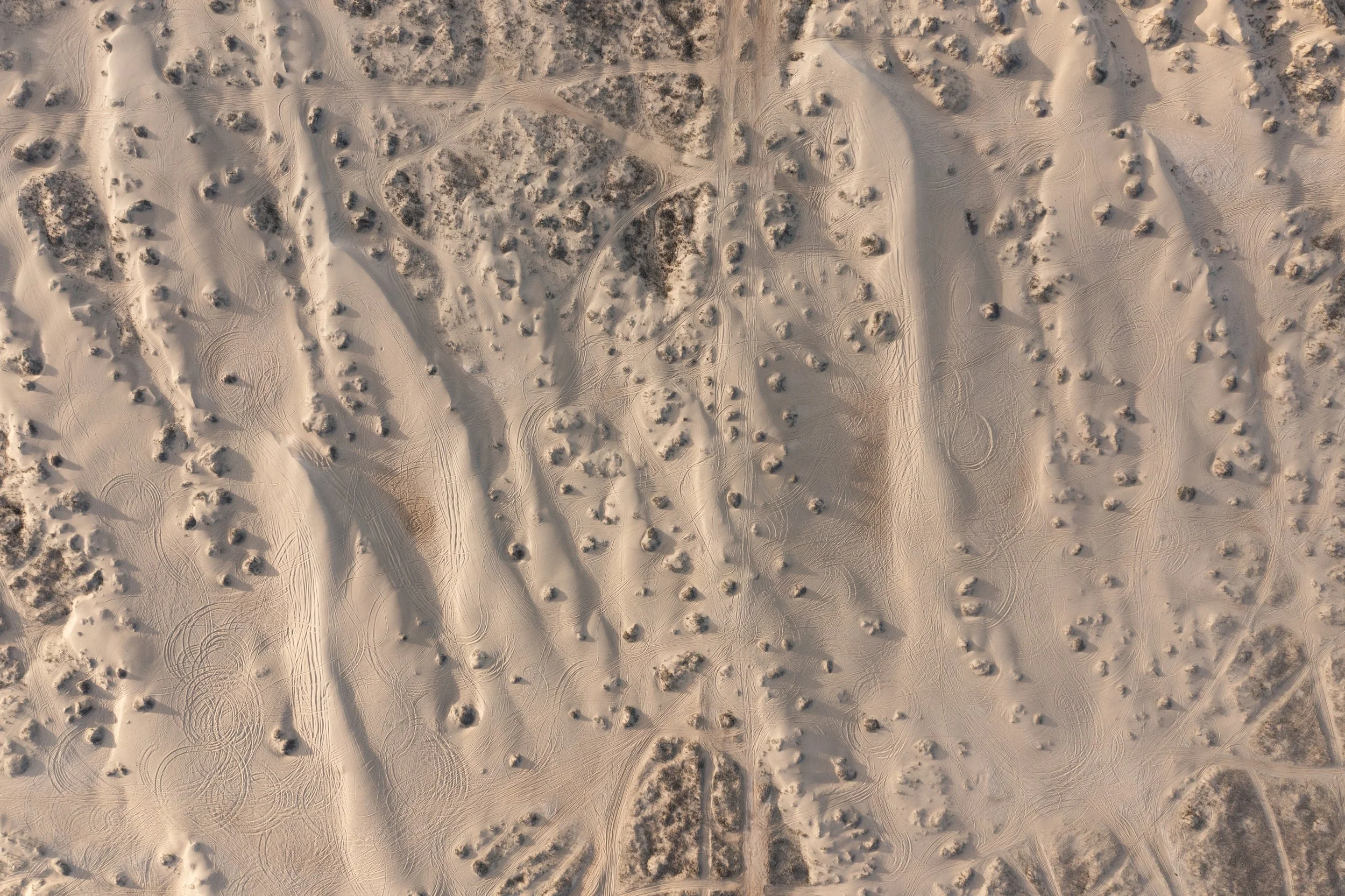 DJI_0463.jpg