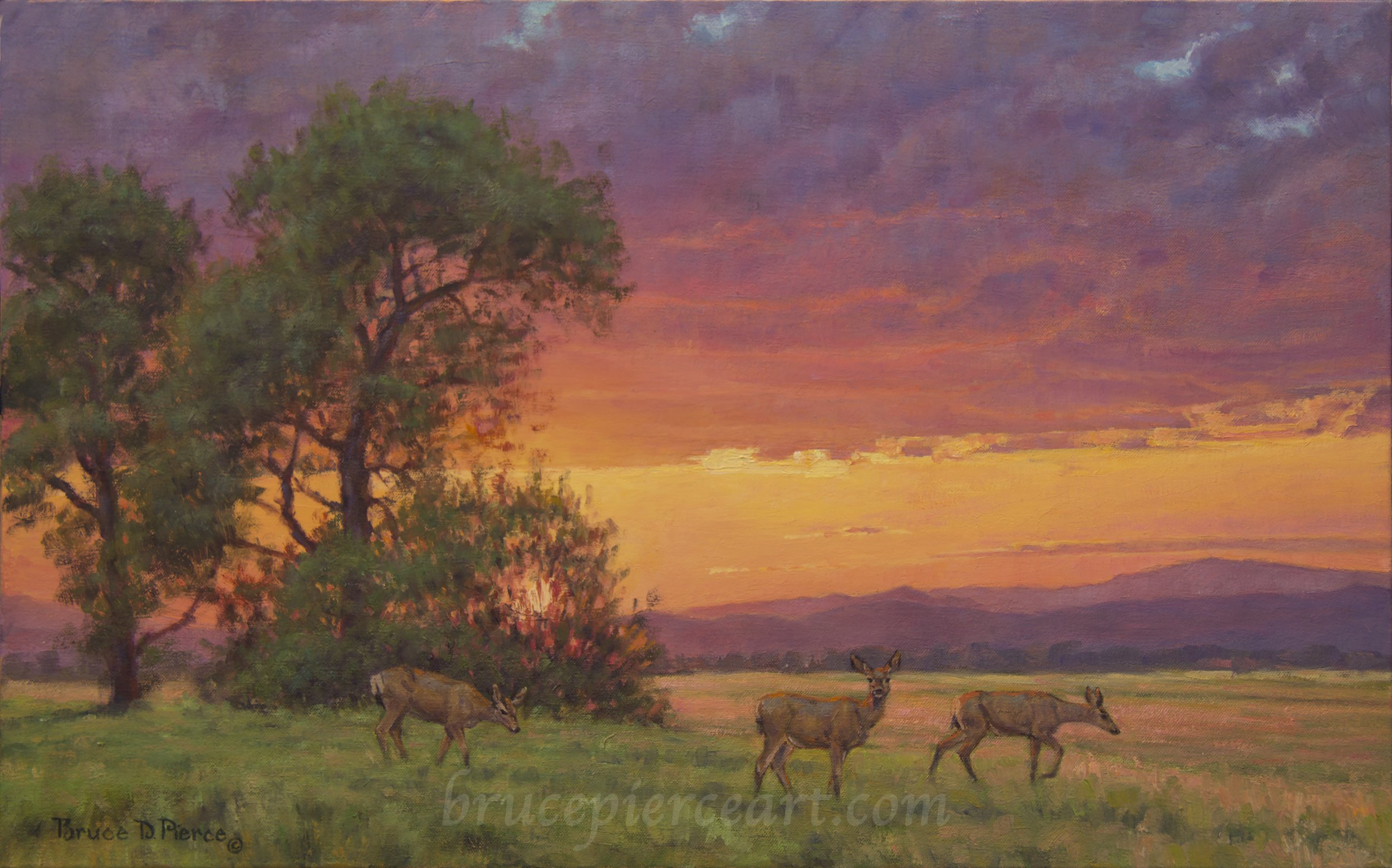 Springhill Sunset 1.jpg