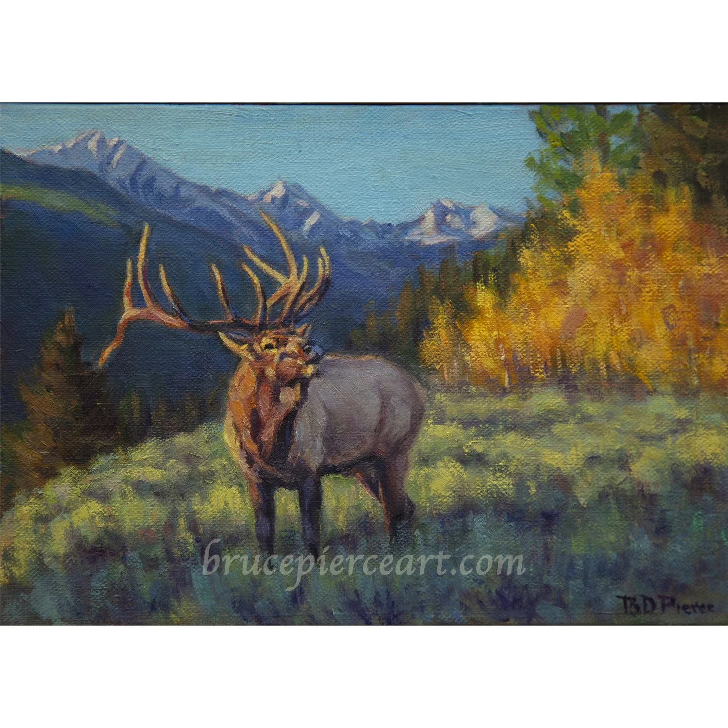 "Spanish Peaks Bugle Corps"  oil on canvas, 5"x 7"