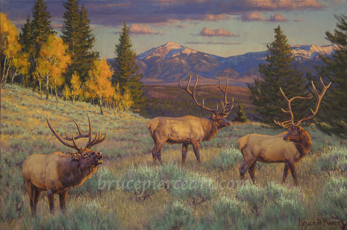 "Three of a Kind"
oil on linen, 24"x 36", Sold.
Giclee prints available. This was a commissioned painting. A surprise gift for an avid bowhunter husband, who specialized in scouting out and going after "freak antler" bulls. These were 3 of the b