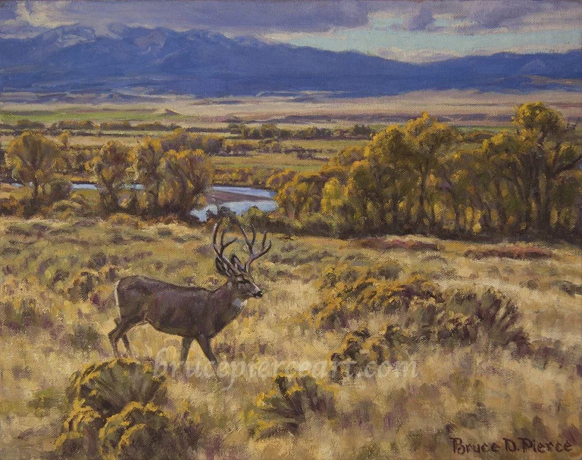 "Looking for Greener Pastures"
oil on canvas 10"x 14"
Available for sale, contact artist. A bench overlooking the Jefferson River valley, with the Highland Mountains in the distance. This buck has his sights set on an alfalfa field to the north,