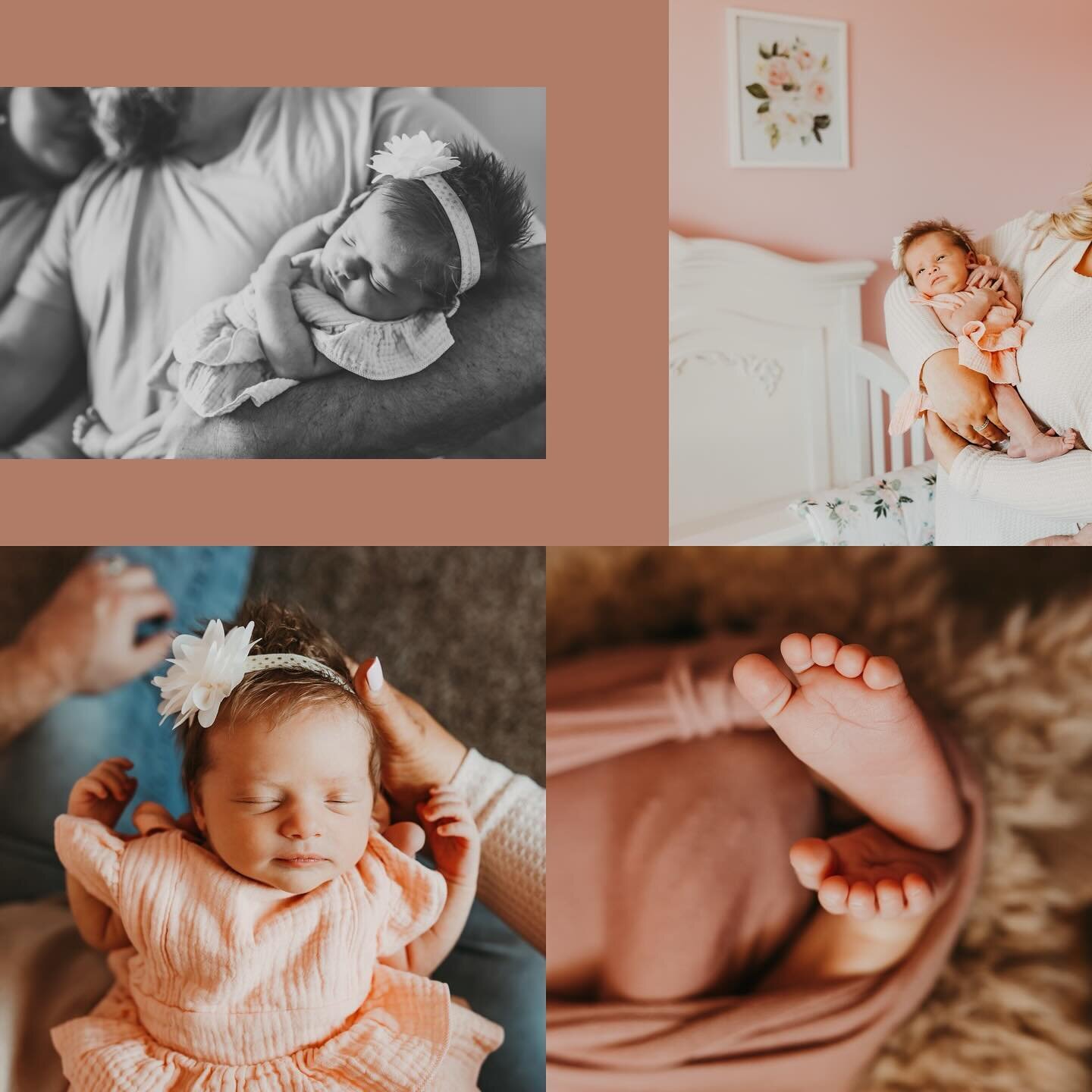 Sweet baby Emmy Kate 💕

#newborn #newbornphotography #newbornphotographer #newbornphoto #chattanoogaphotographer #chattanoogaphotography #familyphotographer #familyphotography #canon