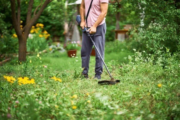 Brush Chipping Rules You Can't Miss in MV