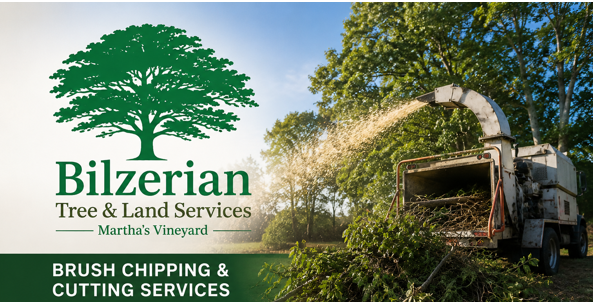 Brush Chipping &amp; Cutting Services in Martha's Vineyard