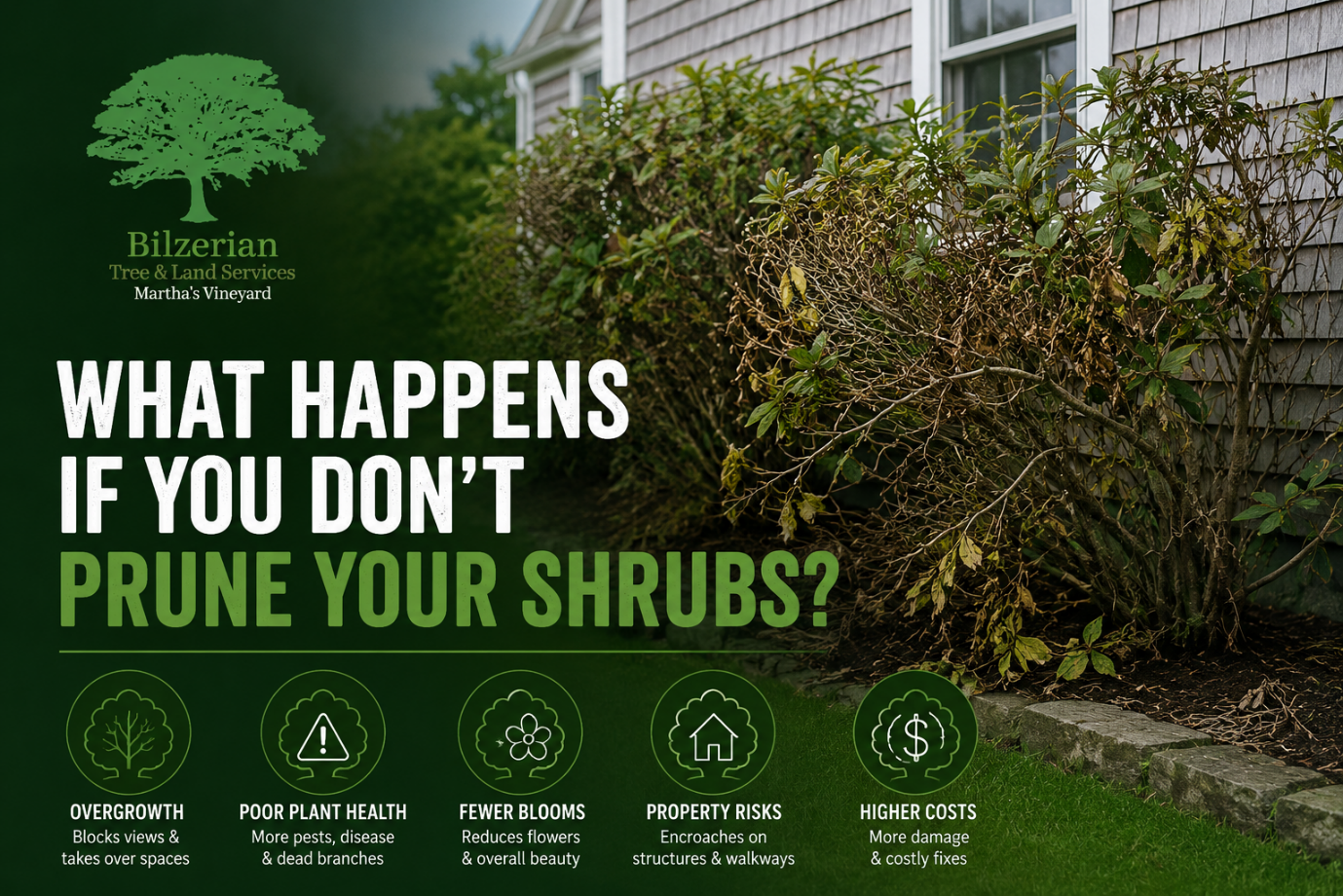  What Happens If You Don't Prune Your Shrubs?