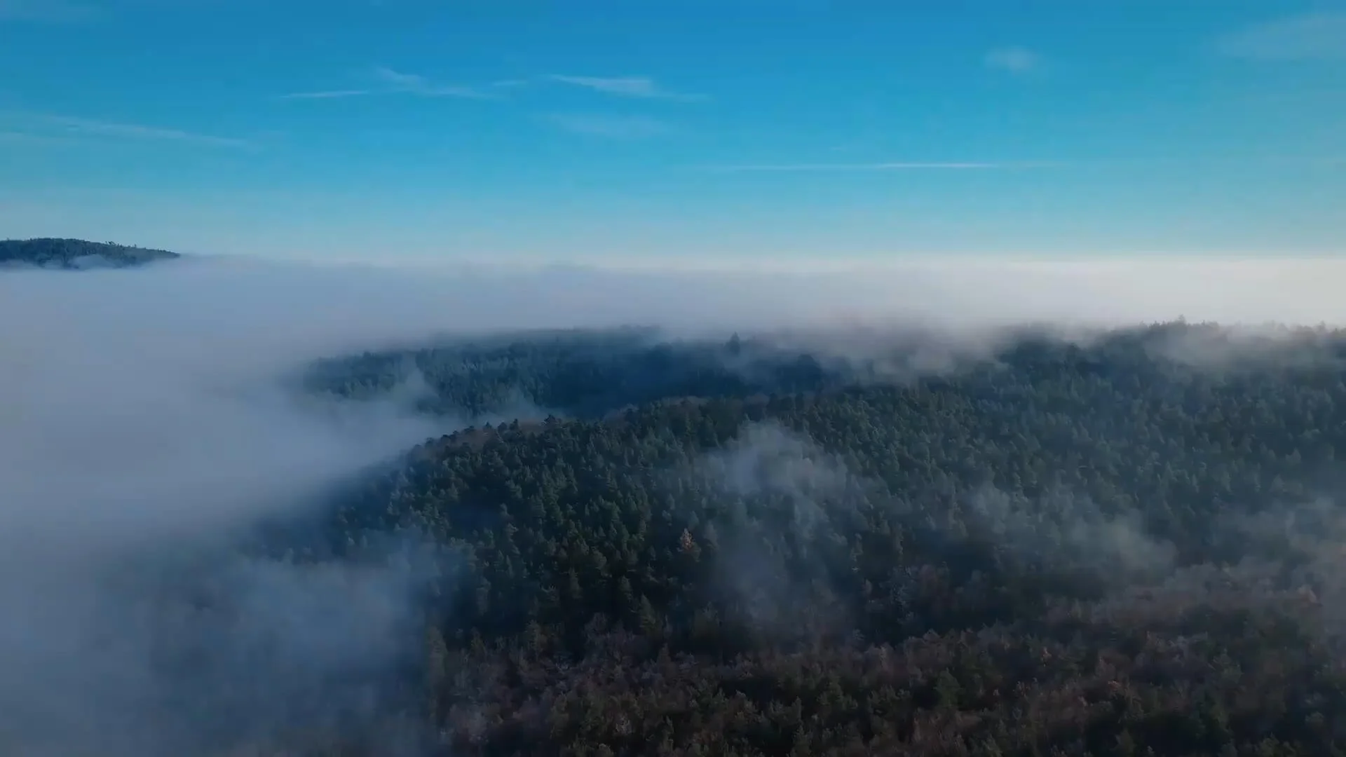 kodavimas nuo alkoholio.jpg