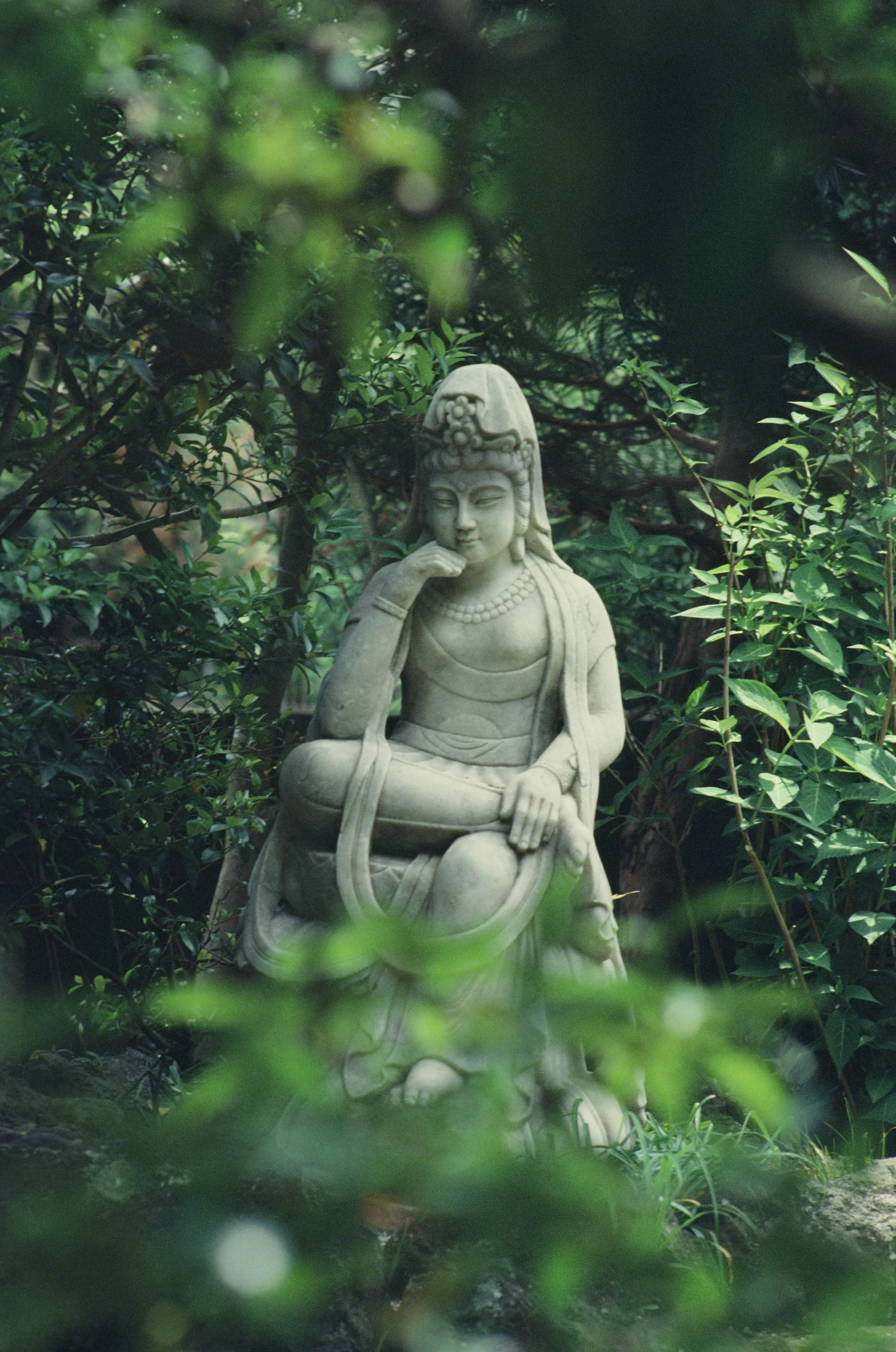 Buddha