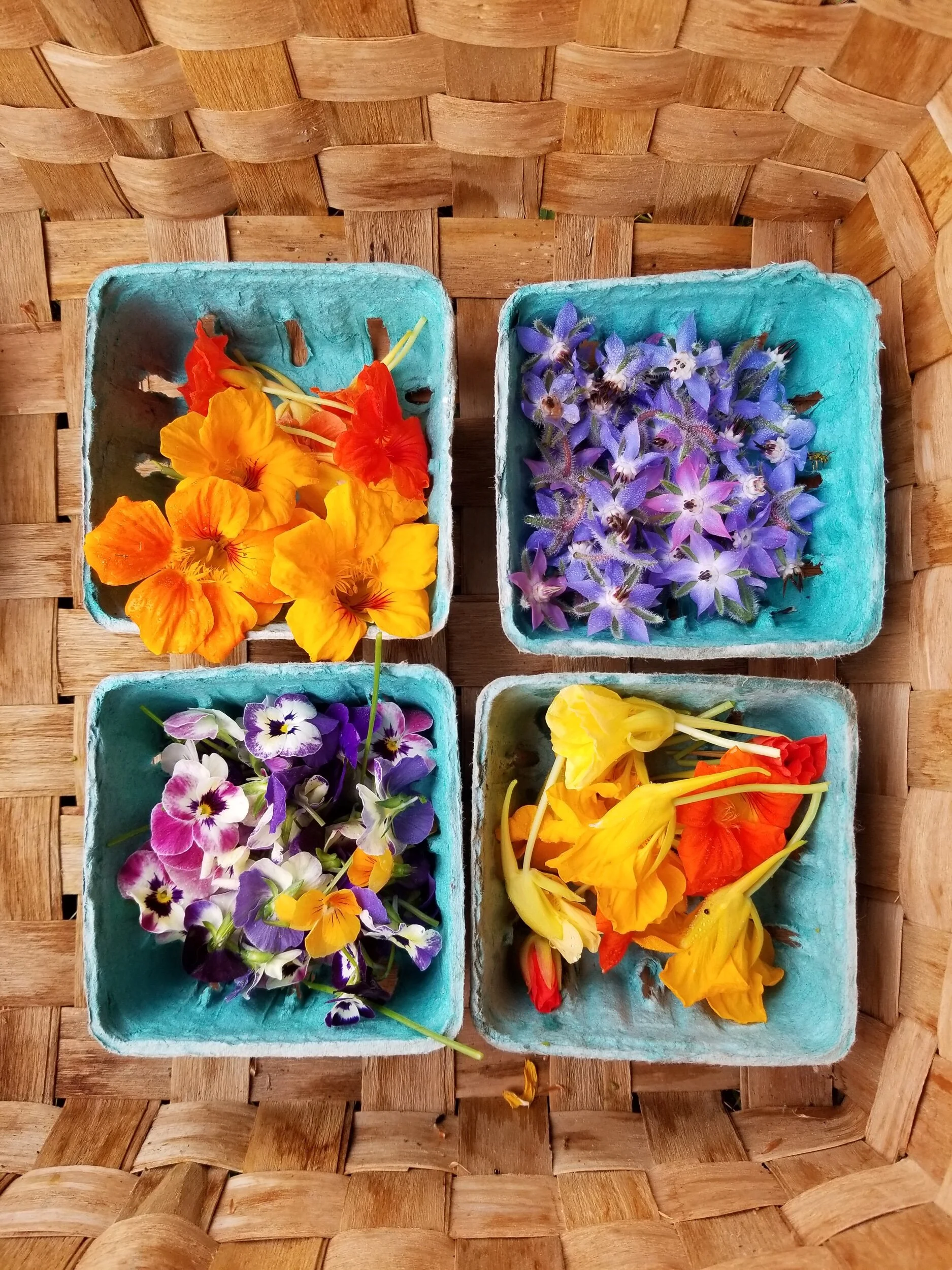 6F2B8A00-977D-4DE3-8FA9-9A552971C128