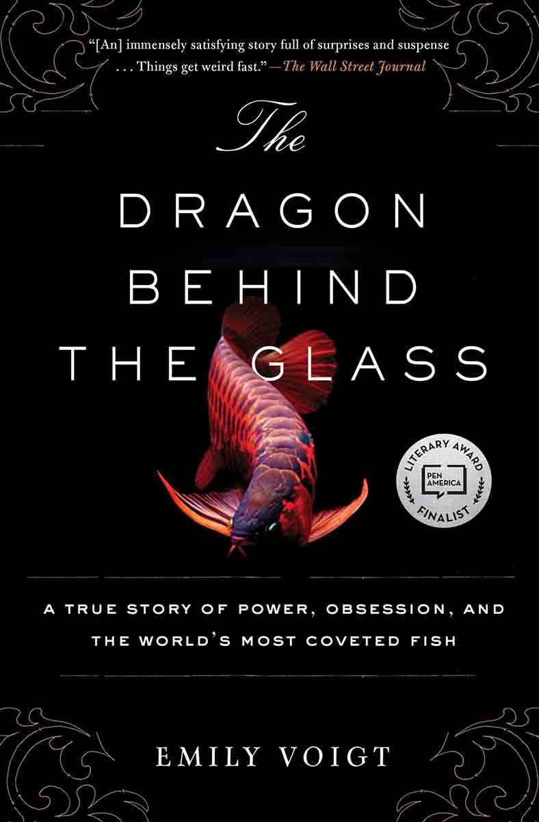 the-dragon-behind-the-glass-Emily Voigt_lr.jpg