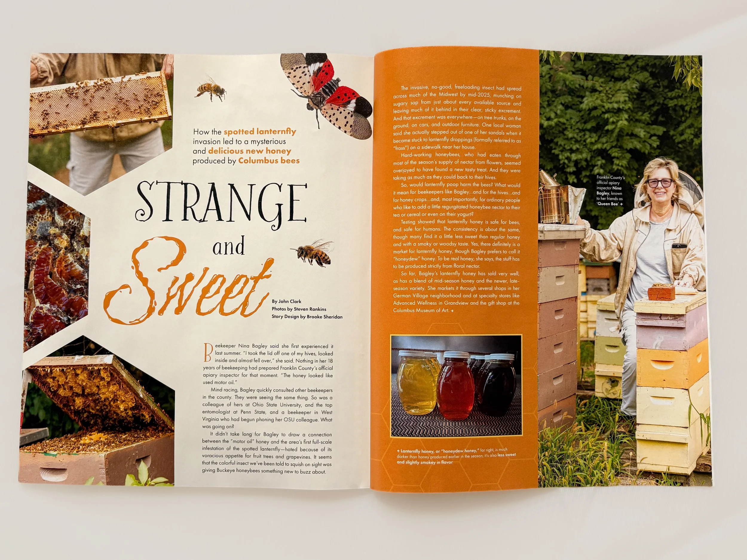 Strange and Sweet, September 2026