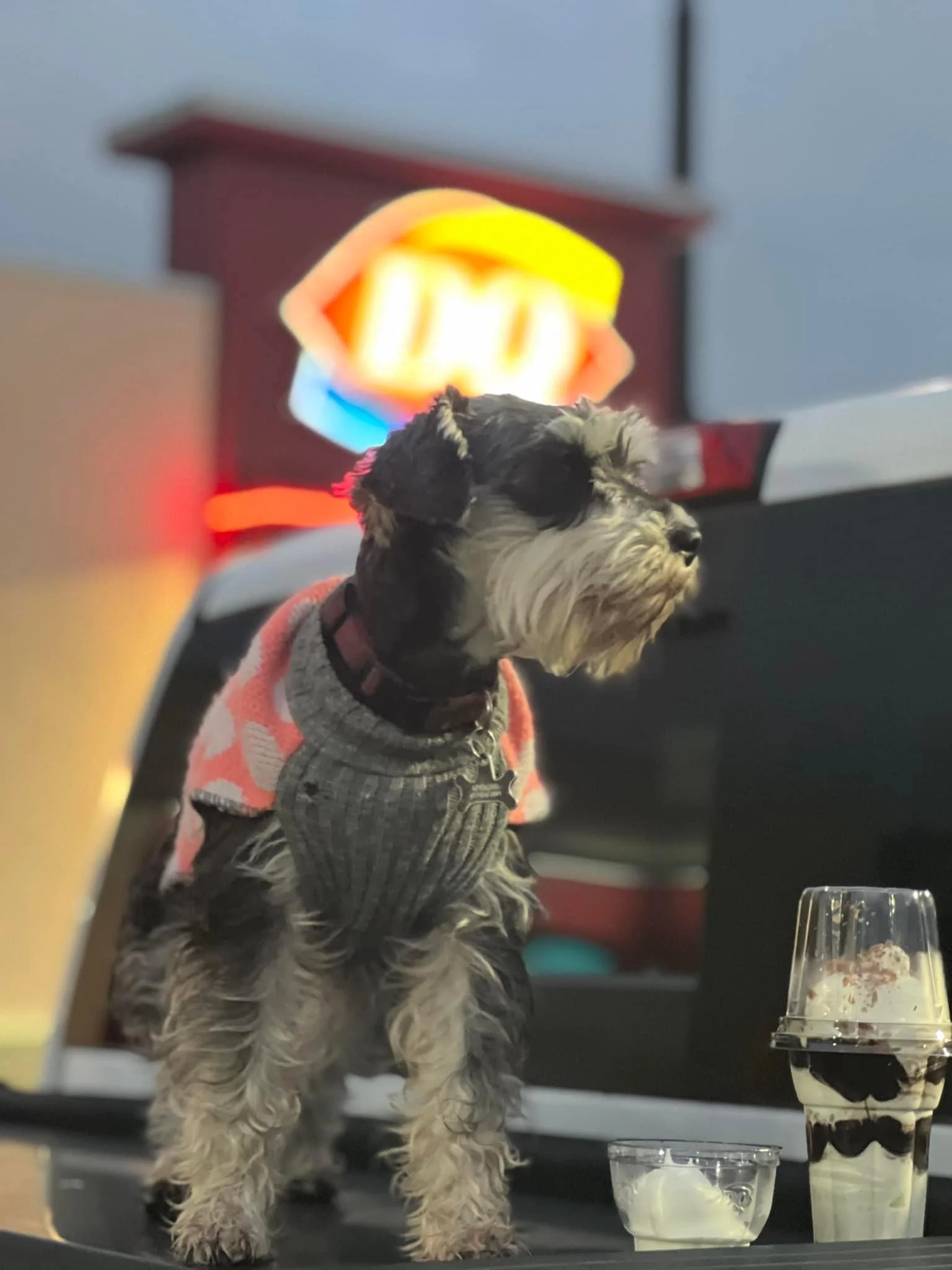 Louisiana bayou bandit fresh and frozen seafood crawfish springfield Missouri