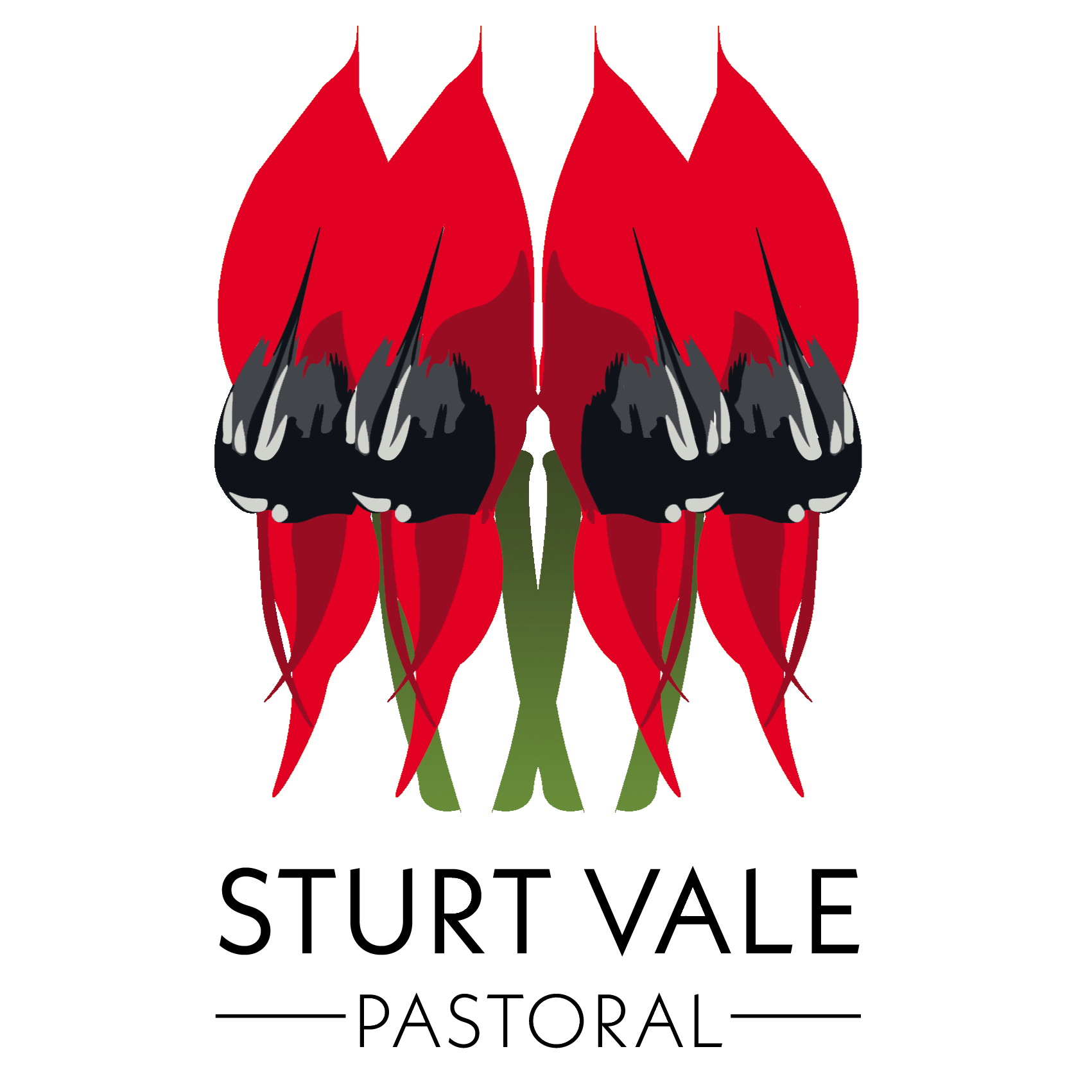 Our Story Sturt Vale Pastoral our-story-sturt-vale-pastoral