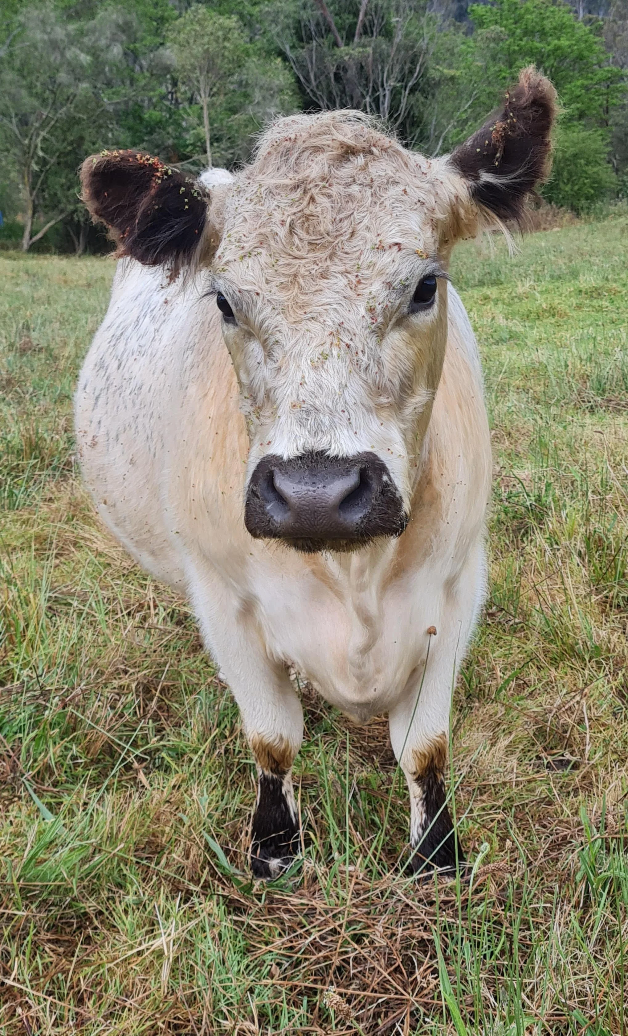 20230104_161356 (1).jpg