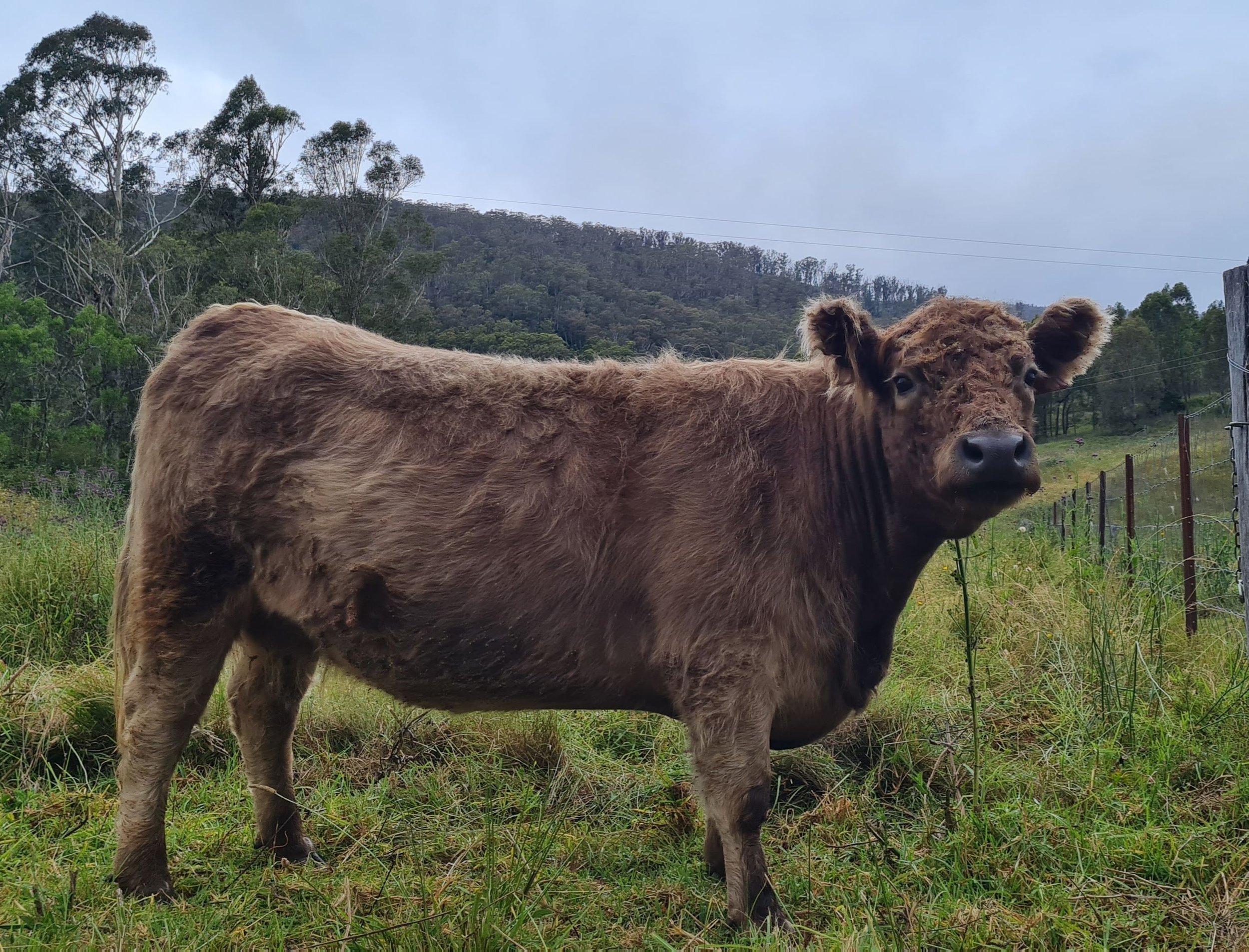 20230104_160418 (1).jpg