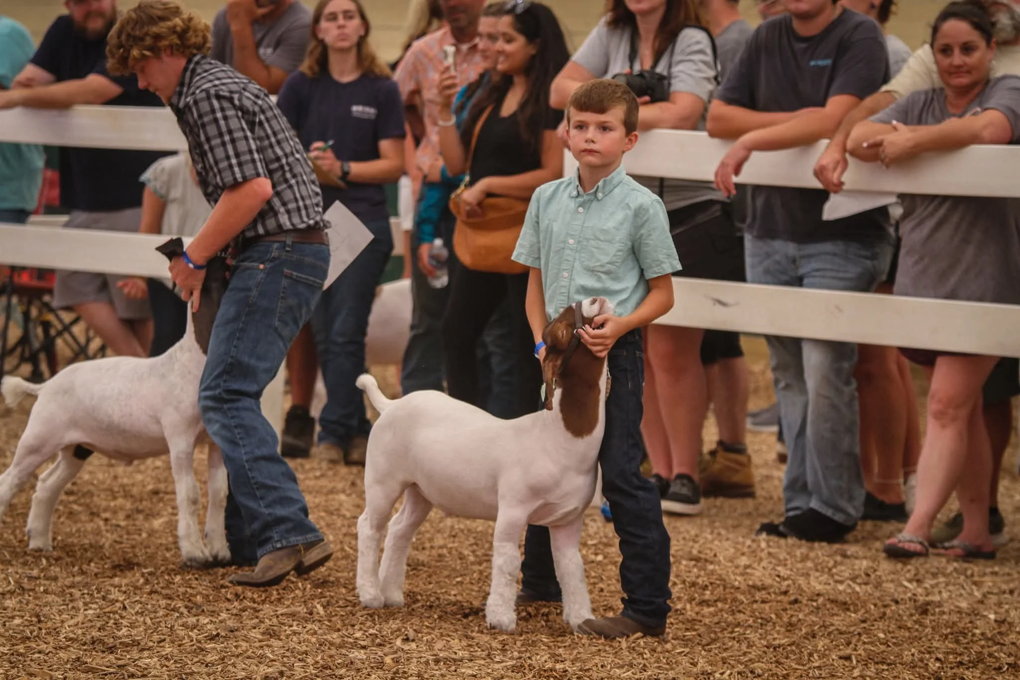 Producer Showcase Reservation