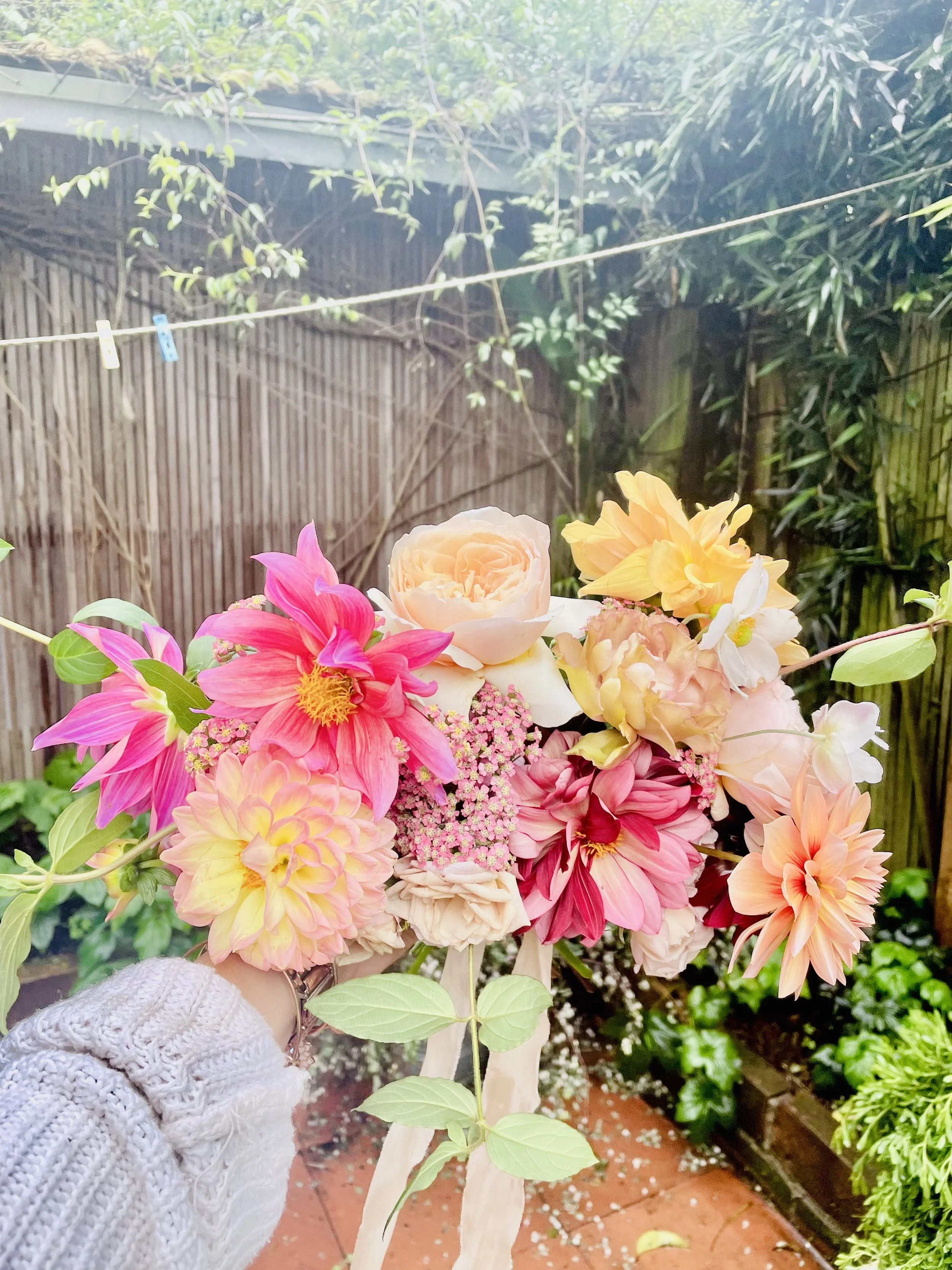 jpg_20230207_233510_0000.jpg