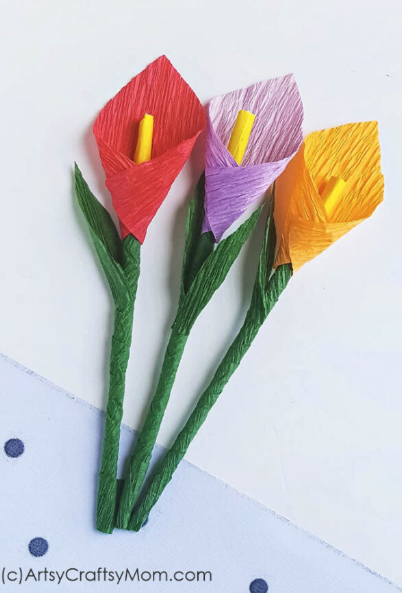 Screenshot 2026-03-23 at 2.44.22 PM.png