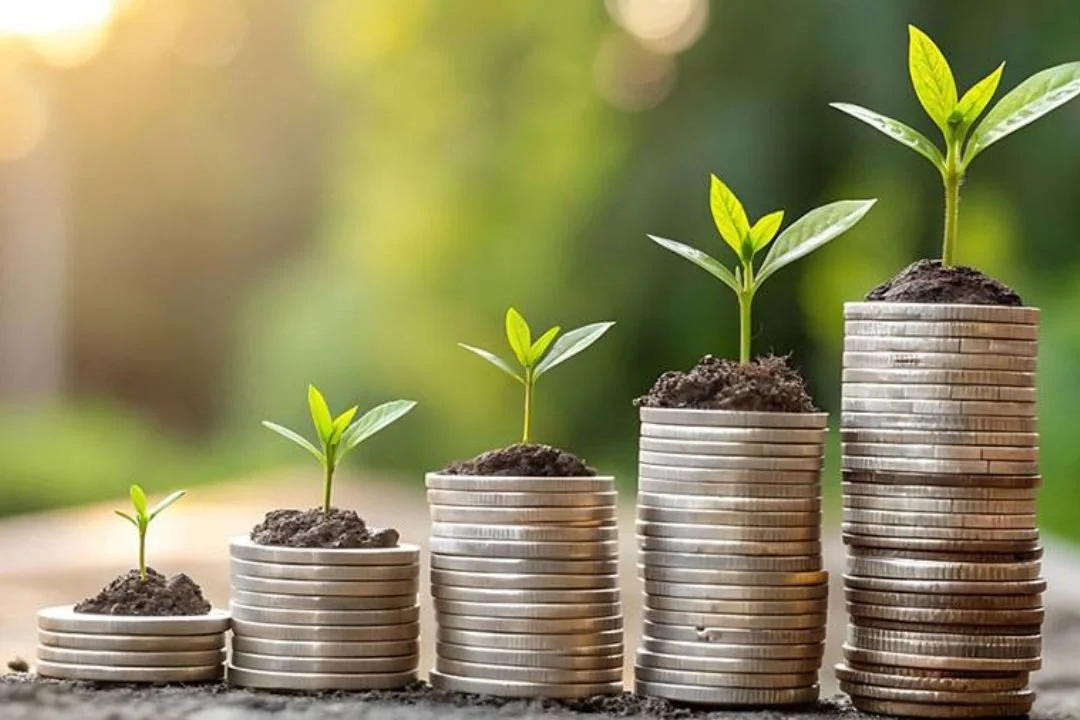 Reserve Bank keeps a steady hand on the OCR