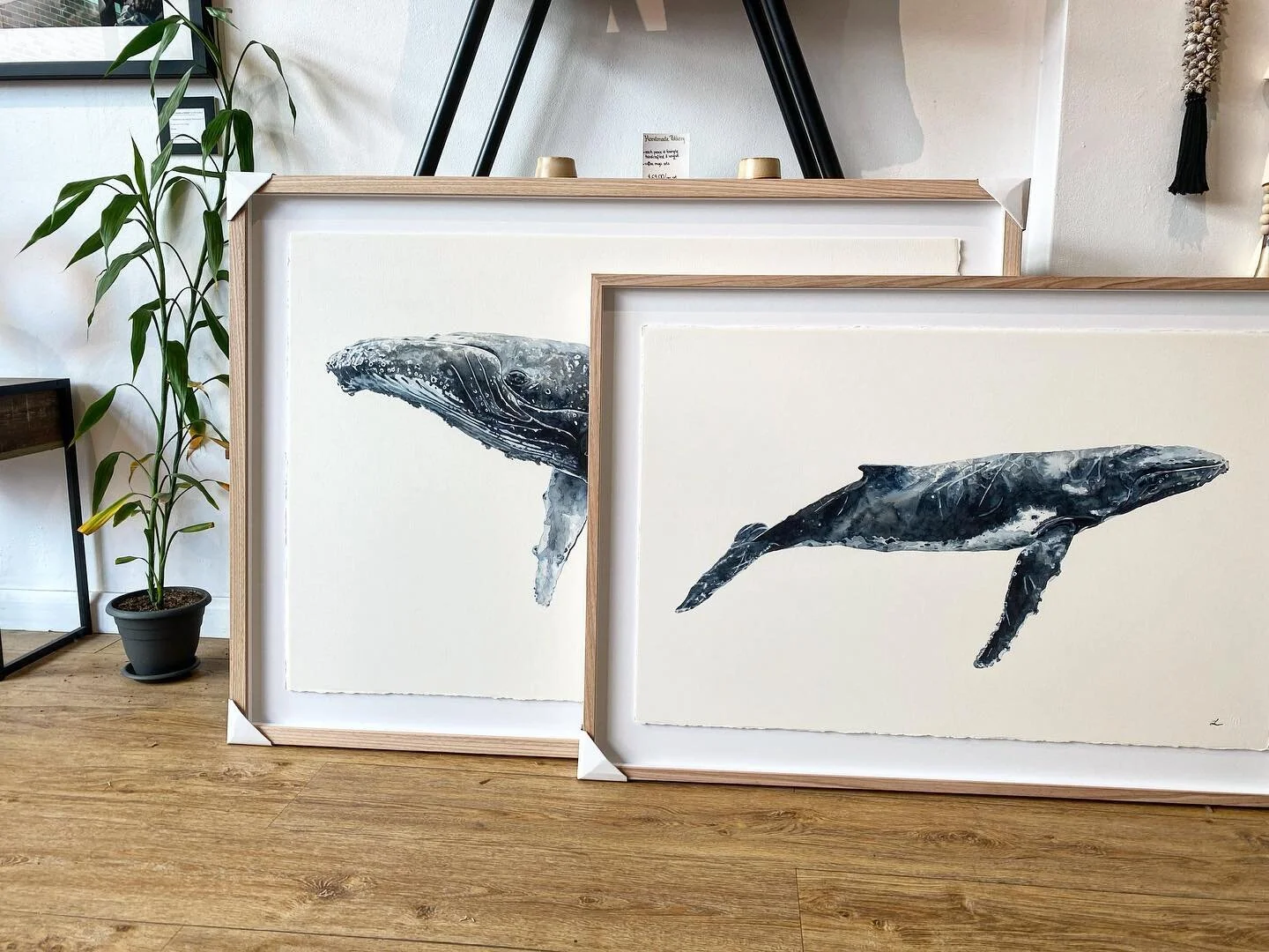 Beautiful artworks by @leahsmark_illustration