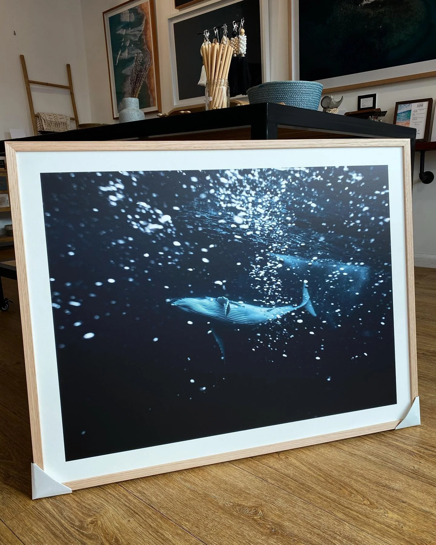 Its always an honor to work with @natgeo contributing photog @mishkusk 🙌🏻 Would highly recommend browsing through her Instagram feed 🐋
.
.
.
.
.
.
#manly #art #framing #sydny #australia #northernbeaches #photography #nationalgeographic #decor #hom
