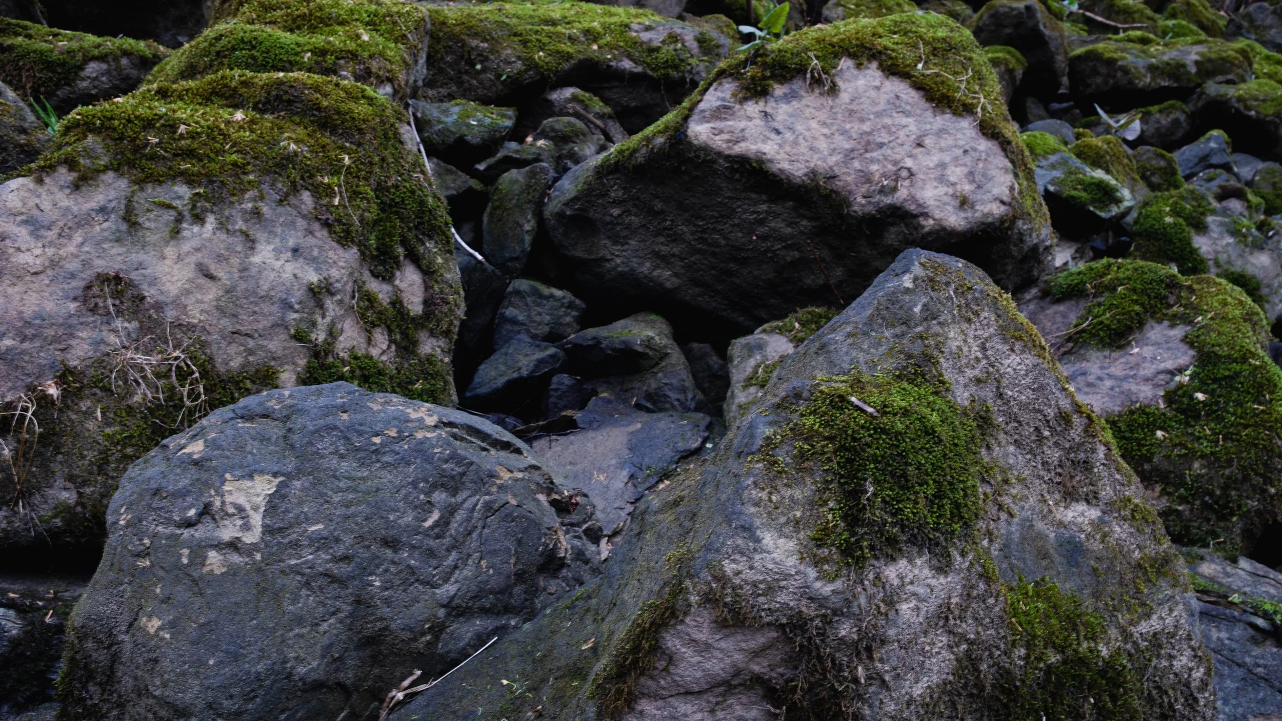 P1080638.jpg