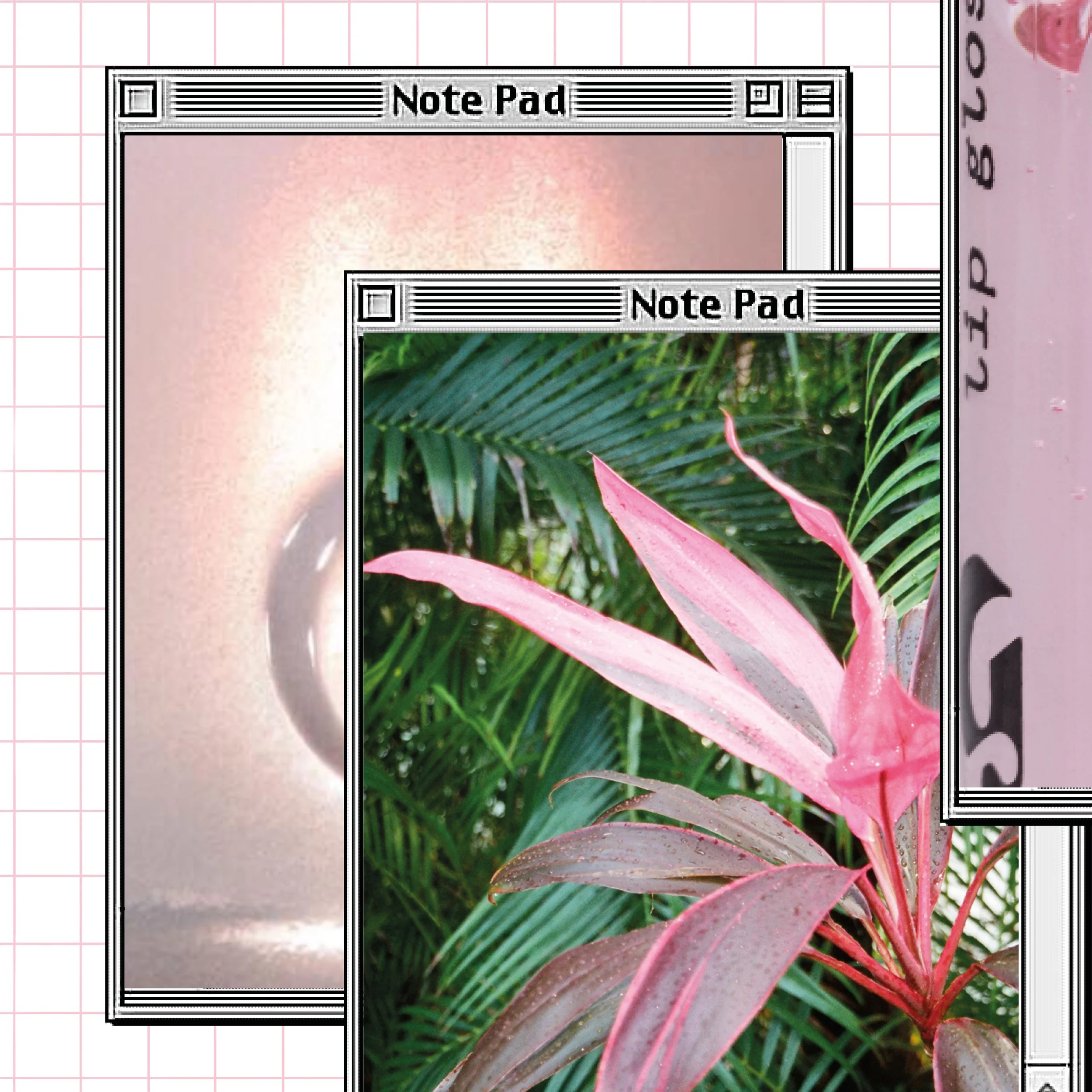 (un)Official Glossier Zine9.jpg