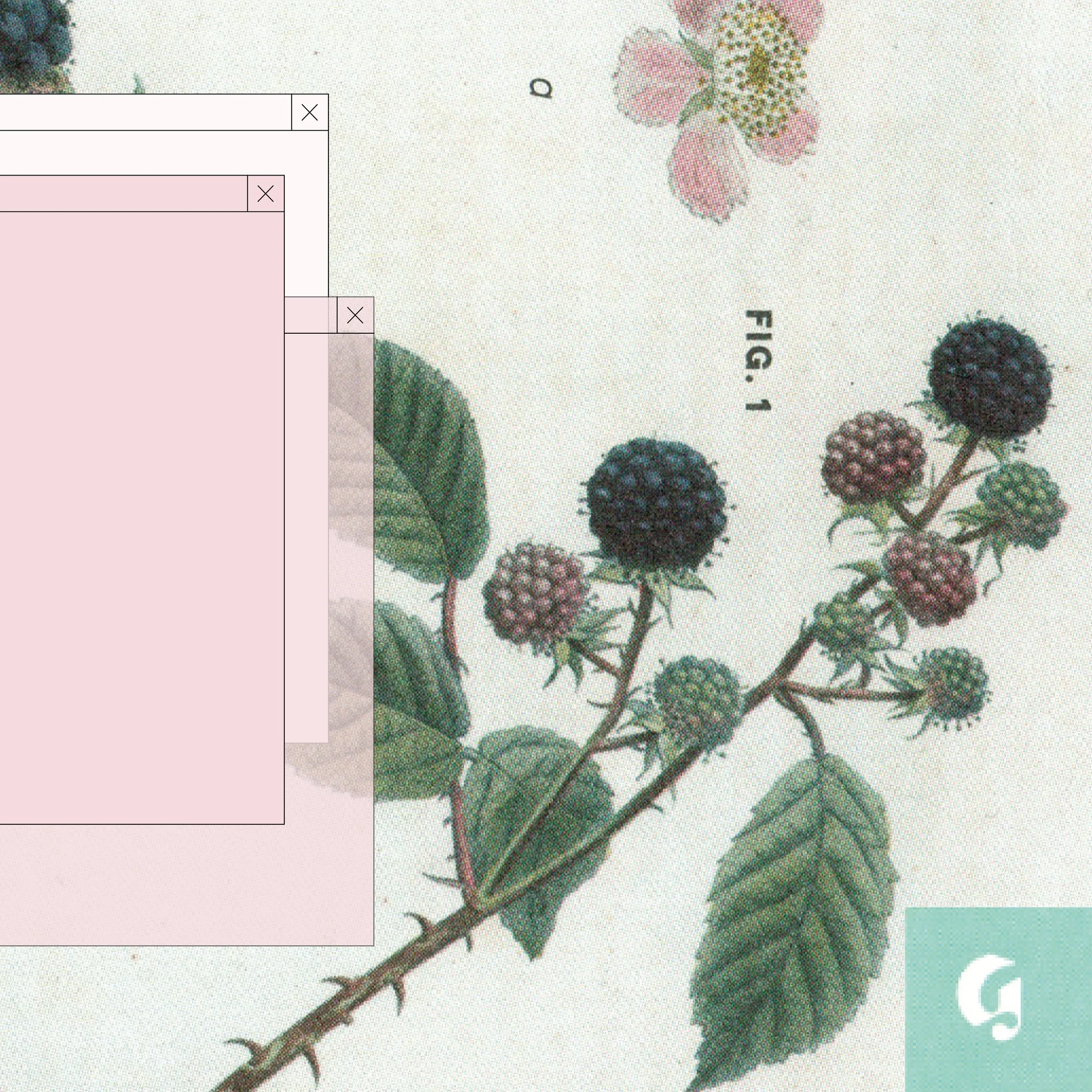 (un)Official Glossier Zine12.jpg