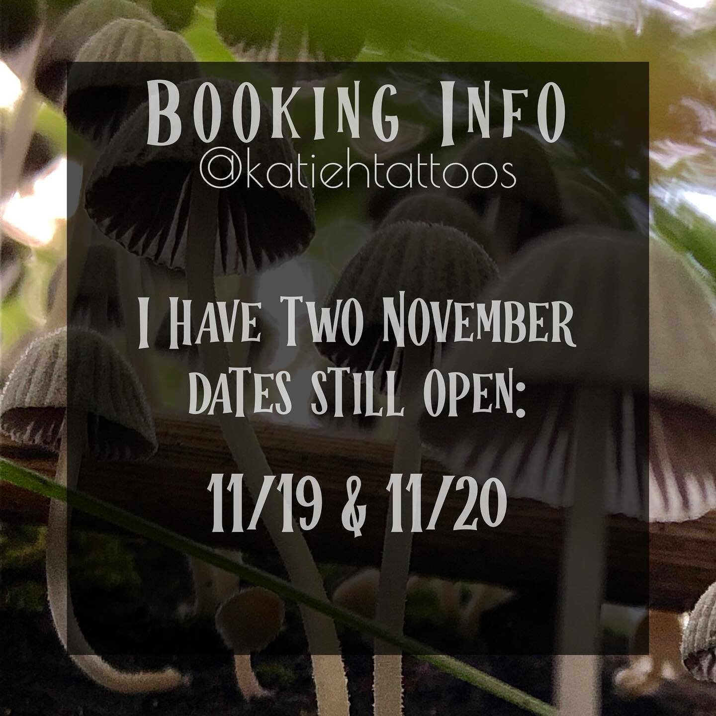 Availability Nov 19th &amp; 20th.
If you&rsquo;re interested, or have questions, please send me a message, or you can use the link in my bio to submit a booking form

Looking for inspiration? You can check out my wannado&rsquo;s.

Subjects I&rsquo;m 